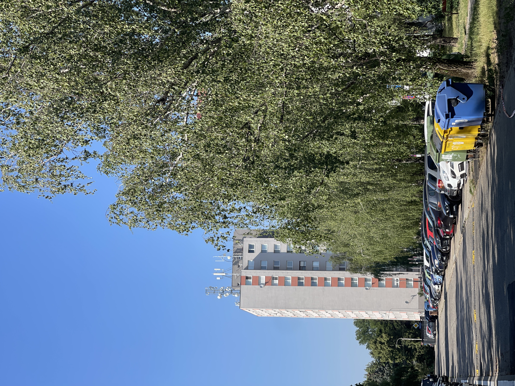 Residential streets and fresh market produce on a clear day
