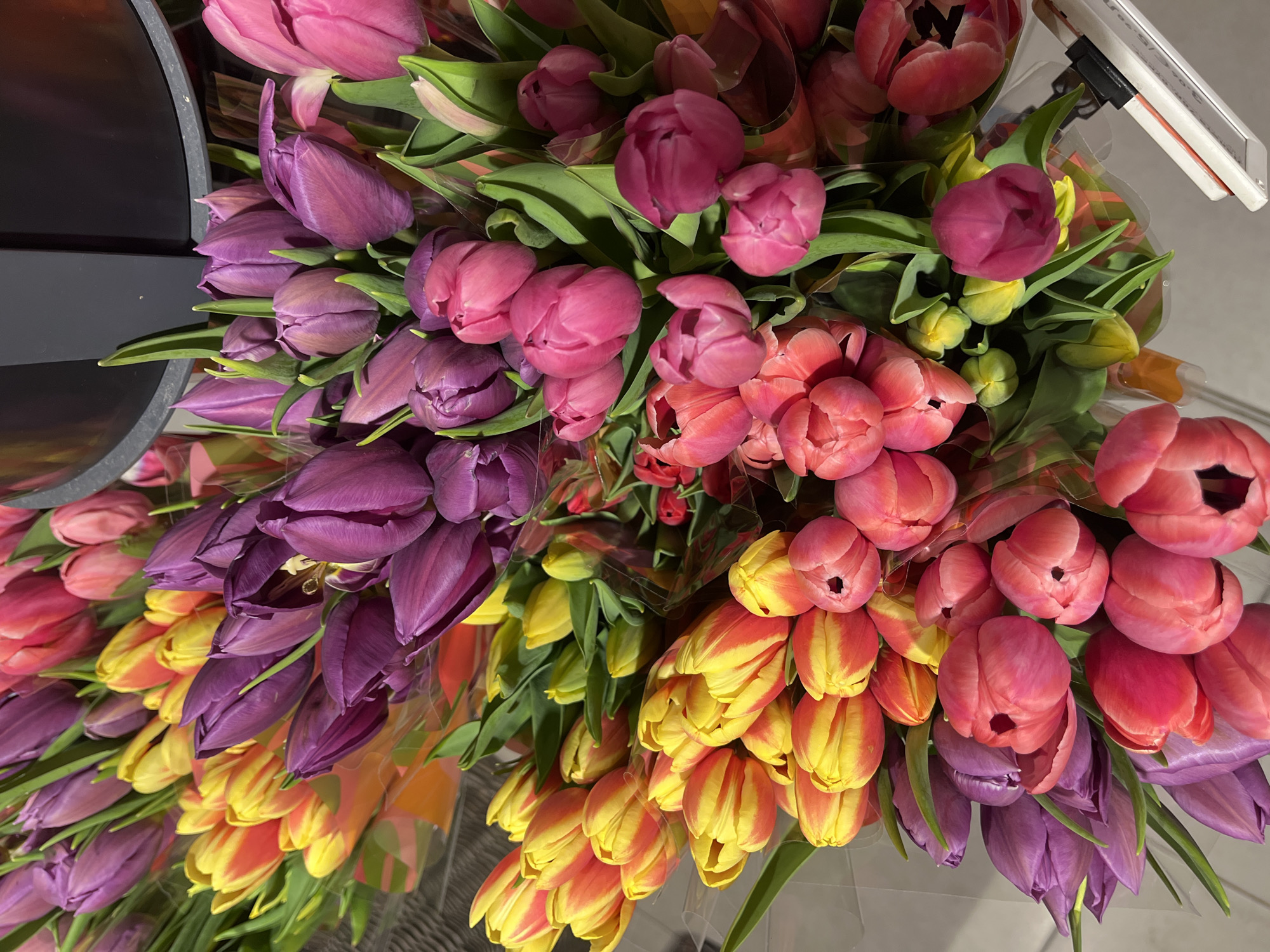 Colorful tulip display observed at unknown commercial location