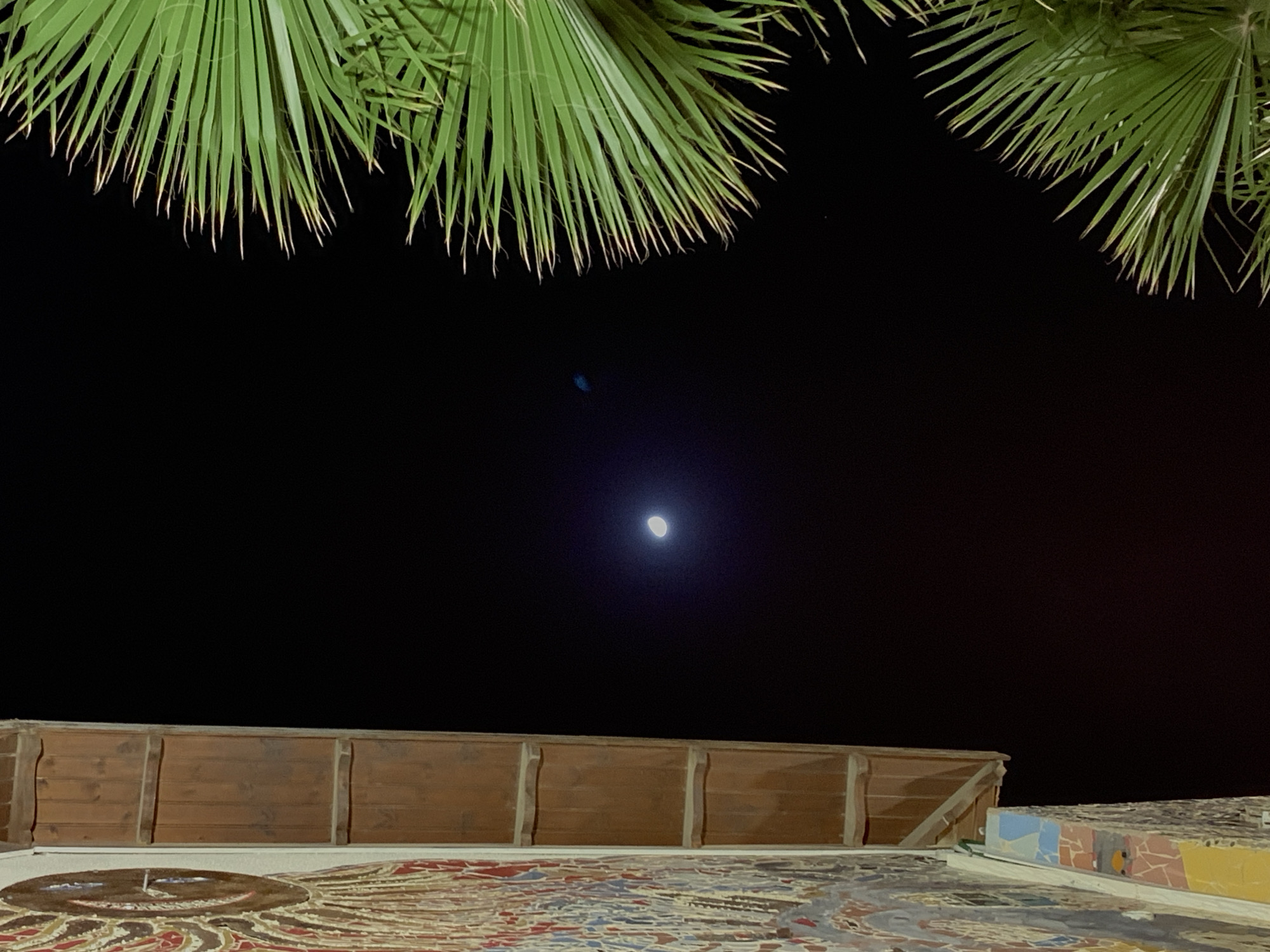 Nighttime scenes captured across Tel Aviv-Jaffa restaurants and cityscape