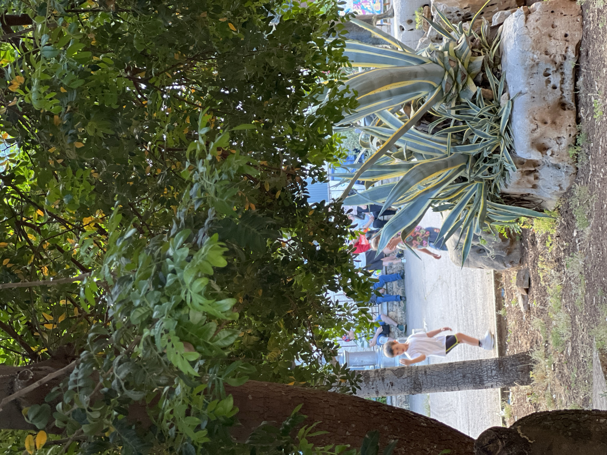 Tourist documents afternoon stroll through historic Bitonto, Italy