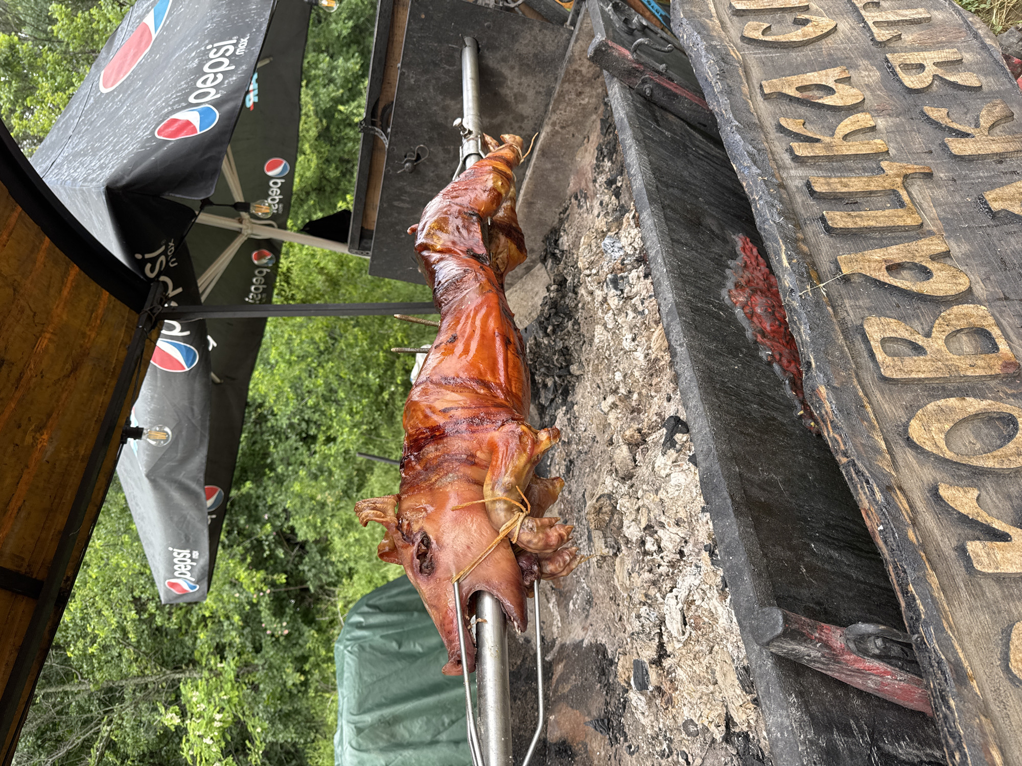 Traditional cooking and livestock scenes documented in Bulgarian town