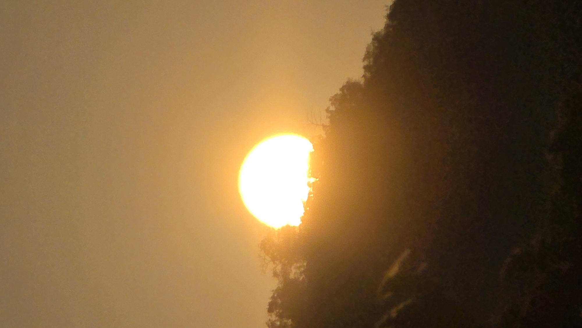 Golden sunset observed through vegetation at Vietnam heritage area