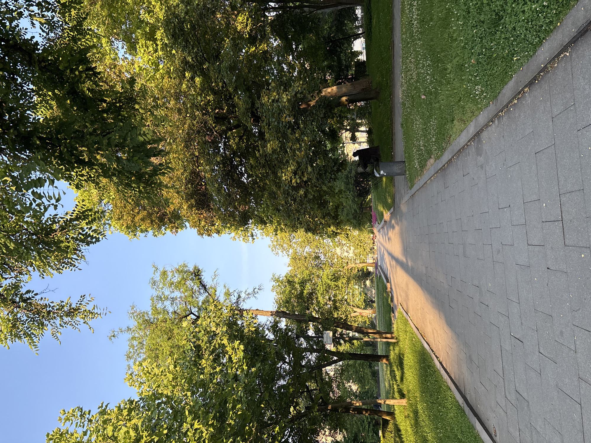 Early morning park scenes captured in Sofia, Bulgaria