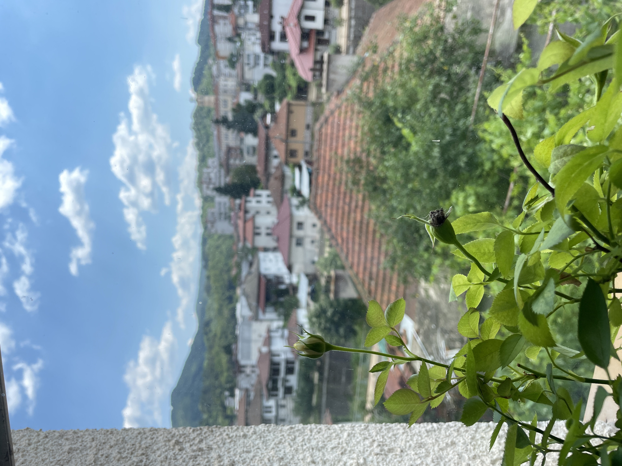 Zlatograd from above: hillside town under a summer sky