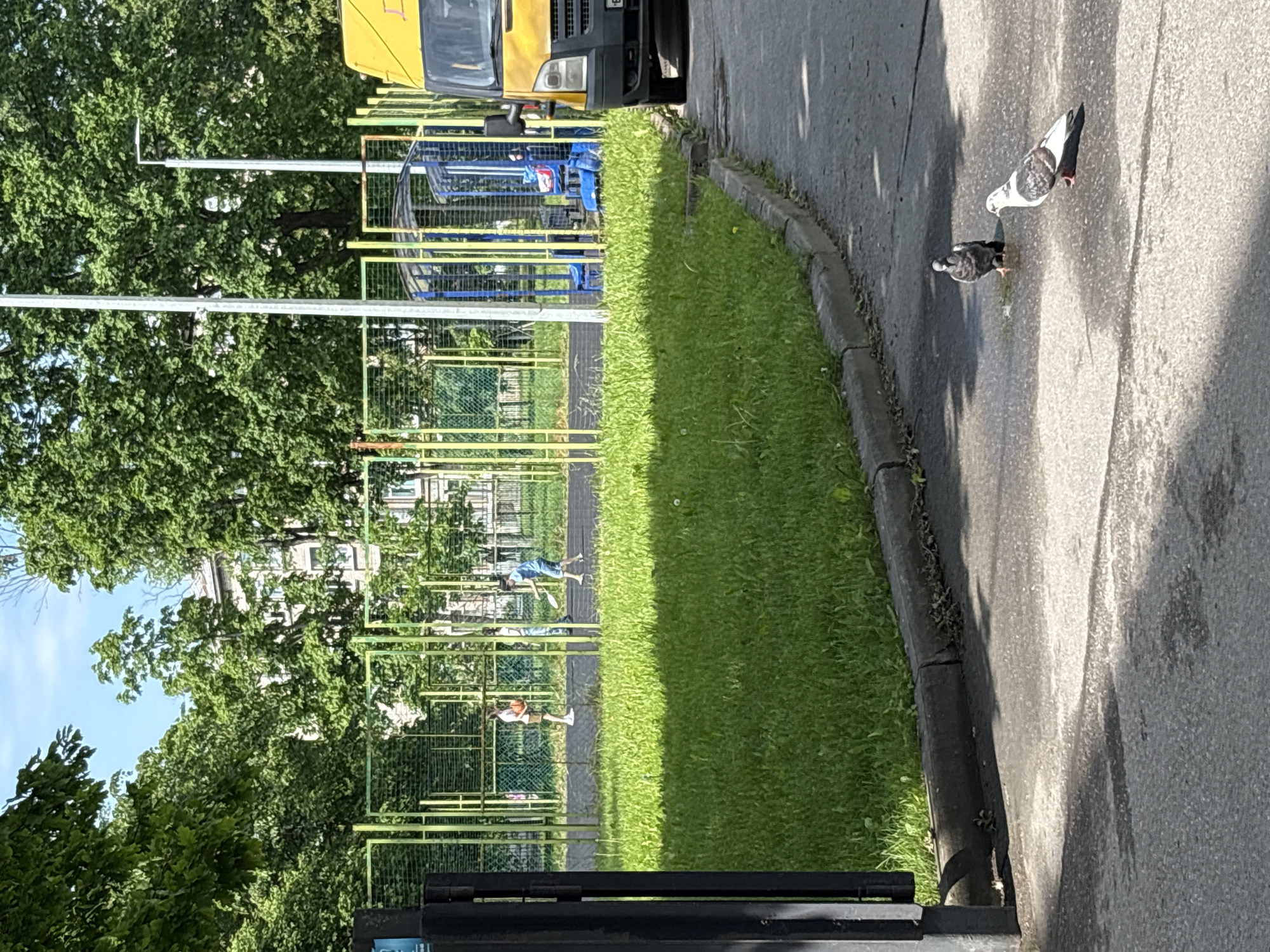 Morning life documented across Saint Petersburg in 26 minutes