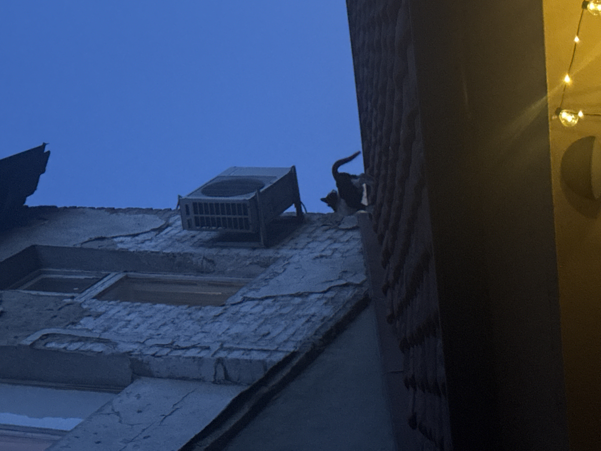 Twilight photography session captures aging Belgrade architecture from below