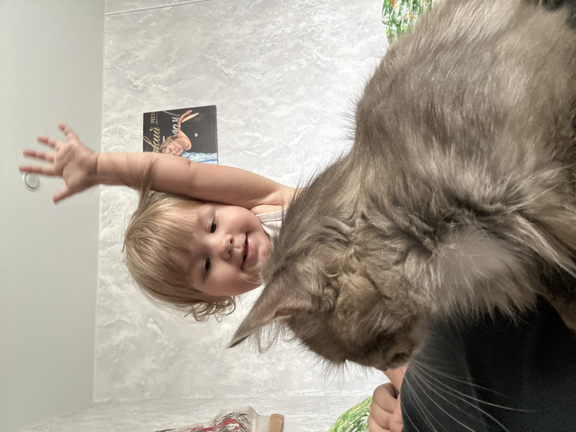 Children play with cat, trampoline in Russian village backyard