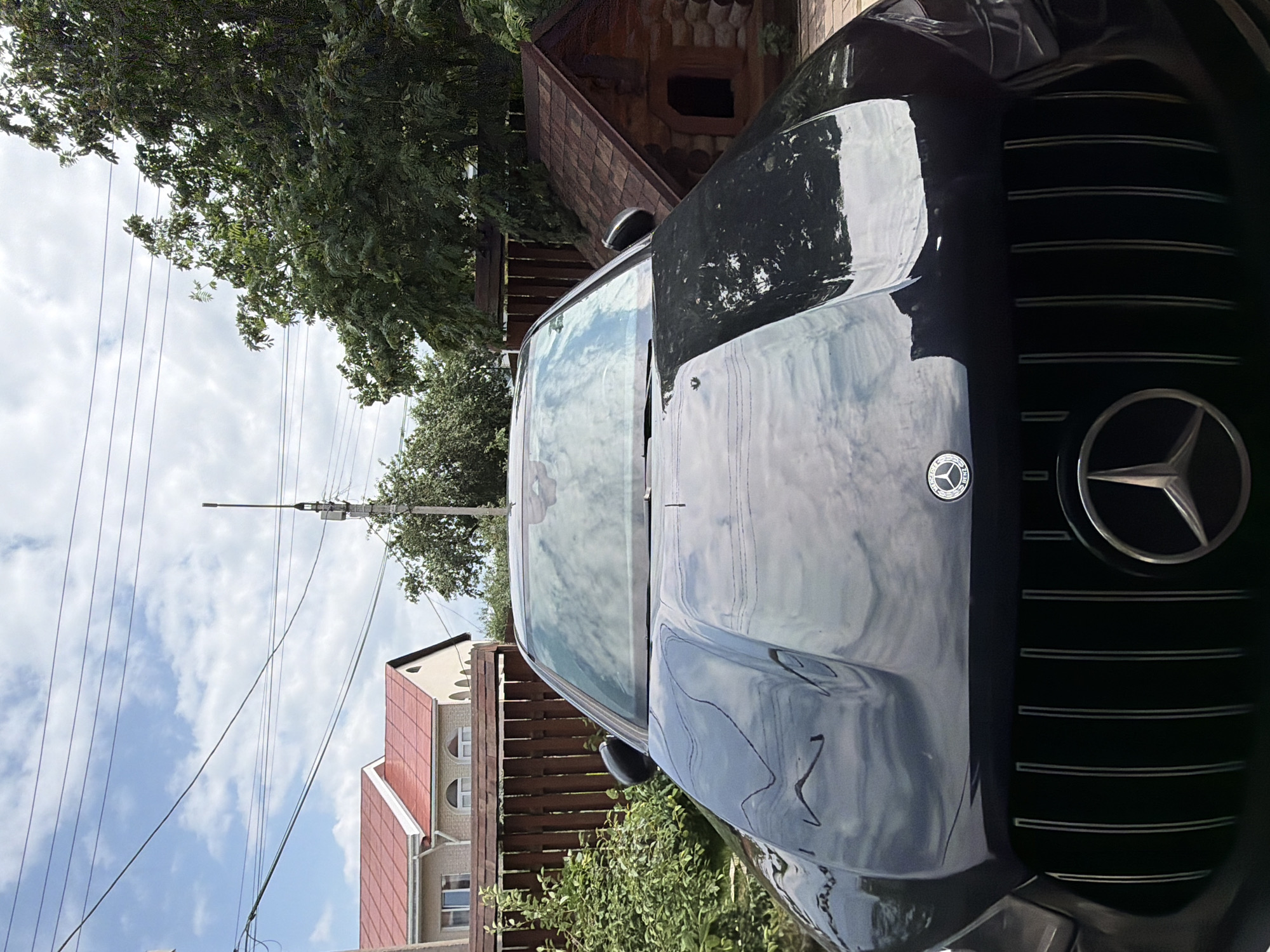Car wash day at a Chaikovsky dacha, cats and roses included