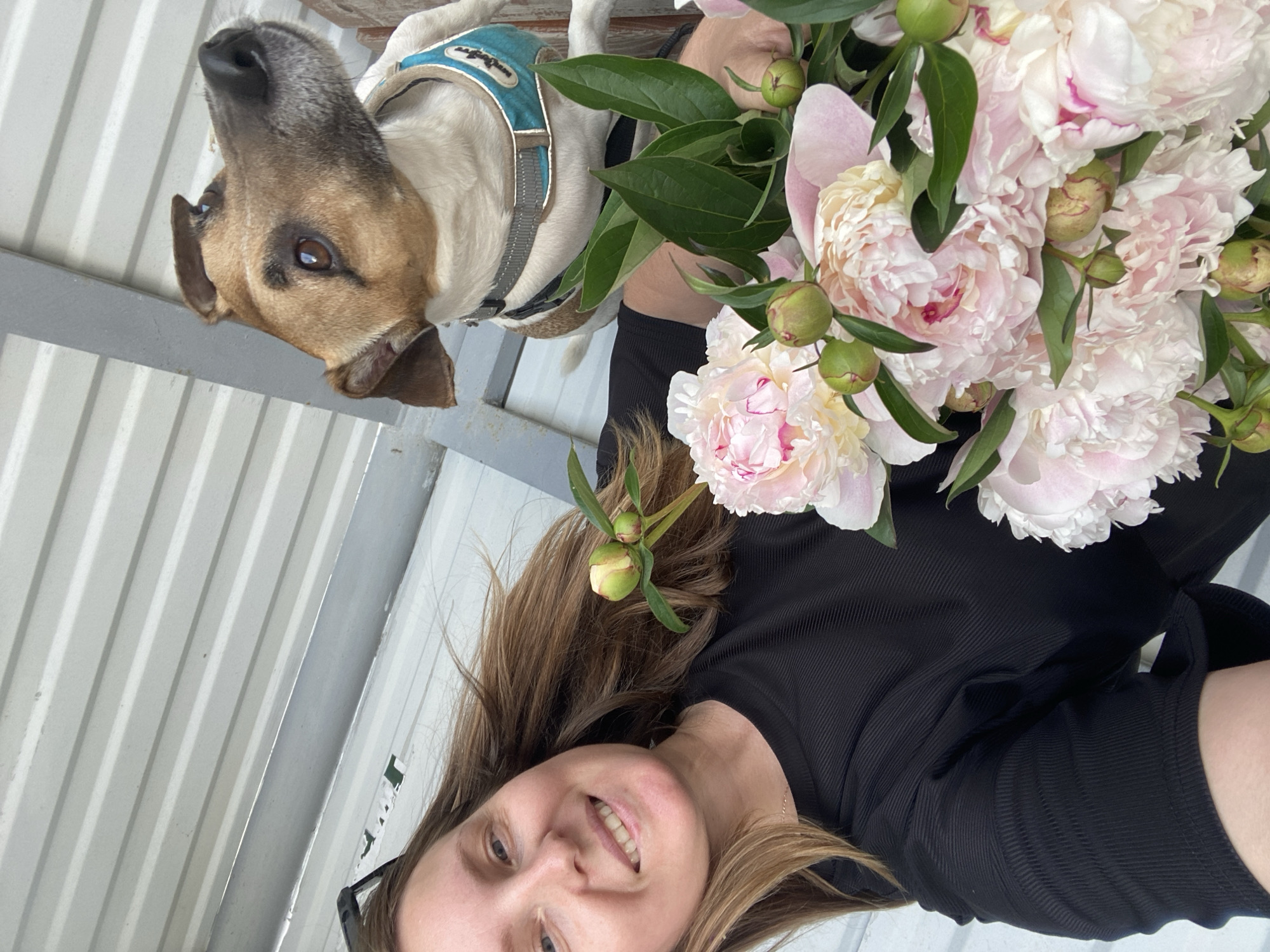 Afternoon with peonies and dog around Noviy, Russia