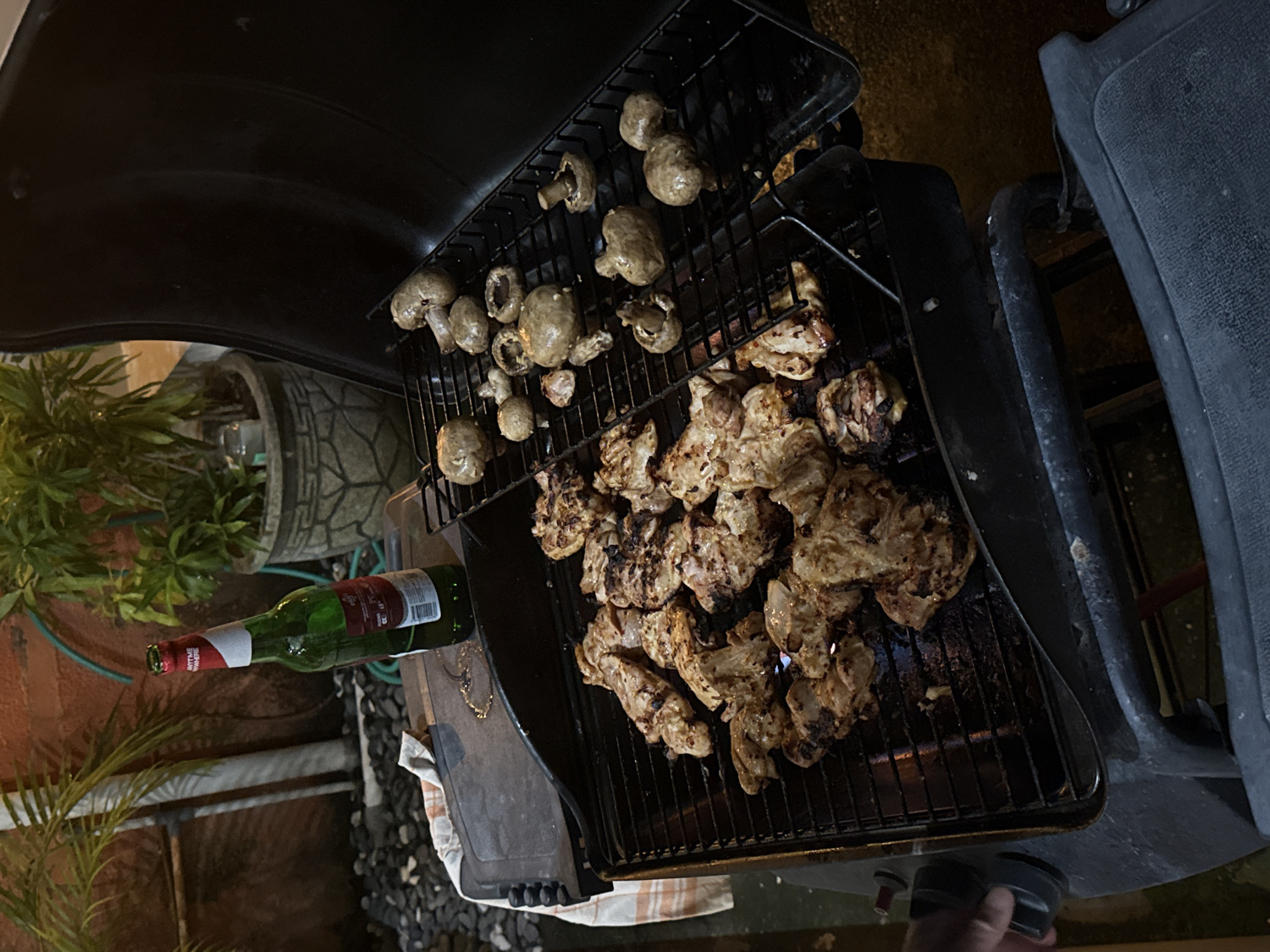 Quiet domestic moments documented in Denpasar neighborhoods
