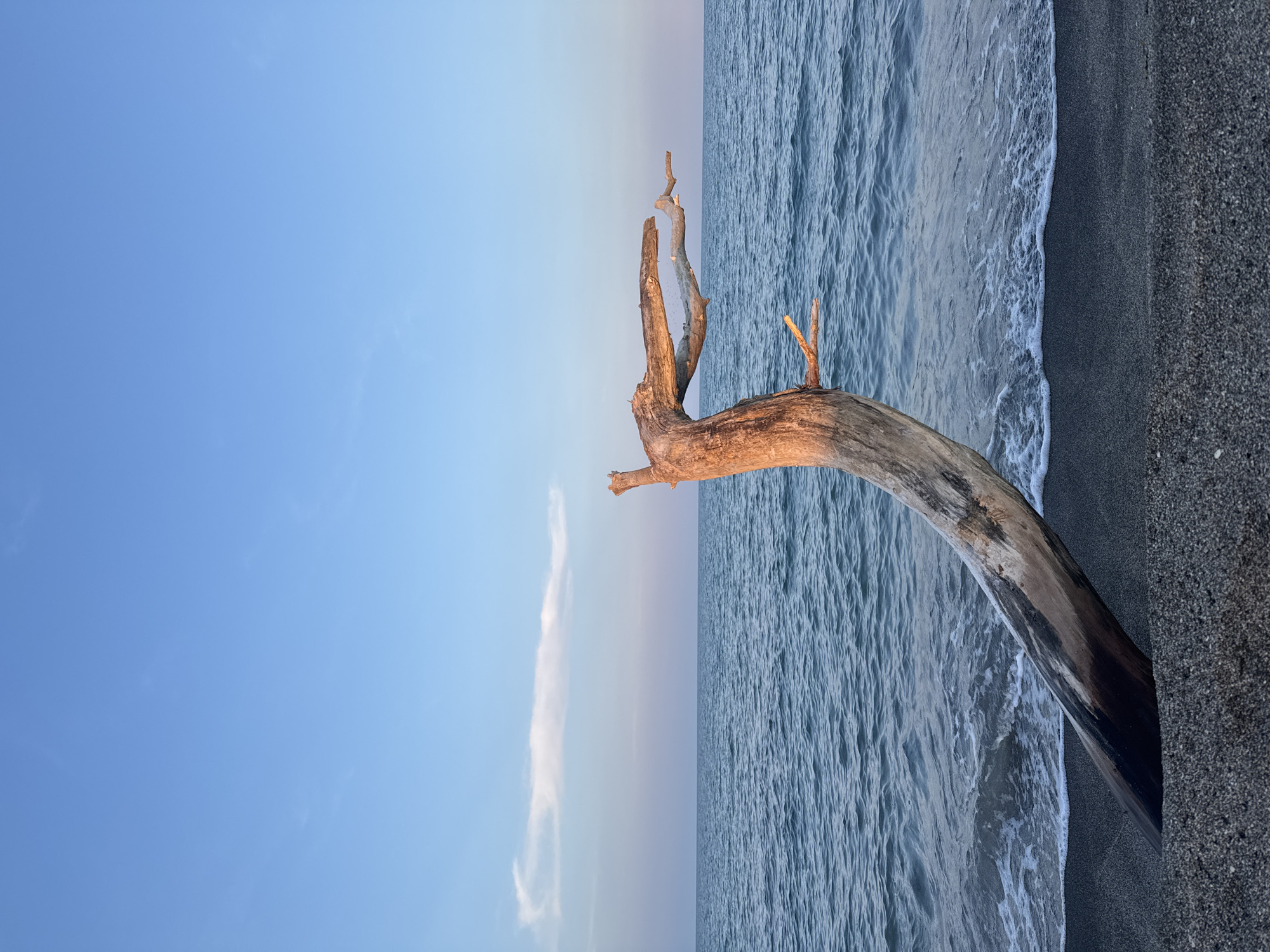 Driftwood and sunset along the Pomorie shoreline