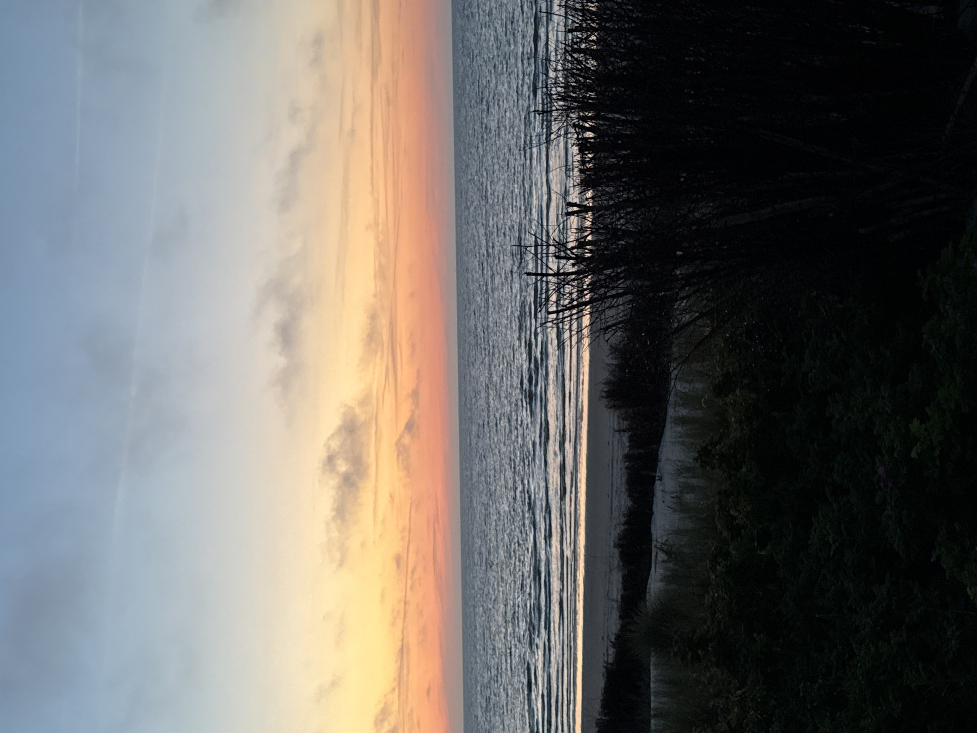 Dusk walk through Langeoog dunes to the North Sea shore