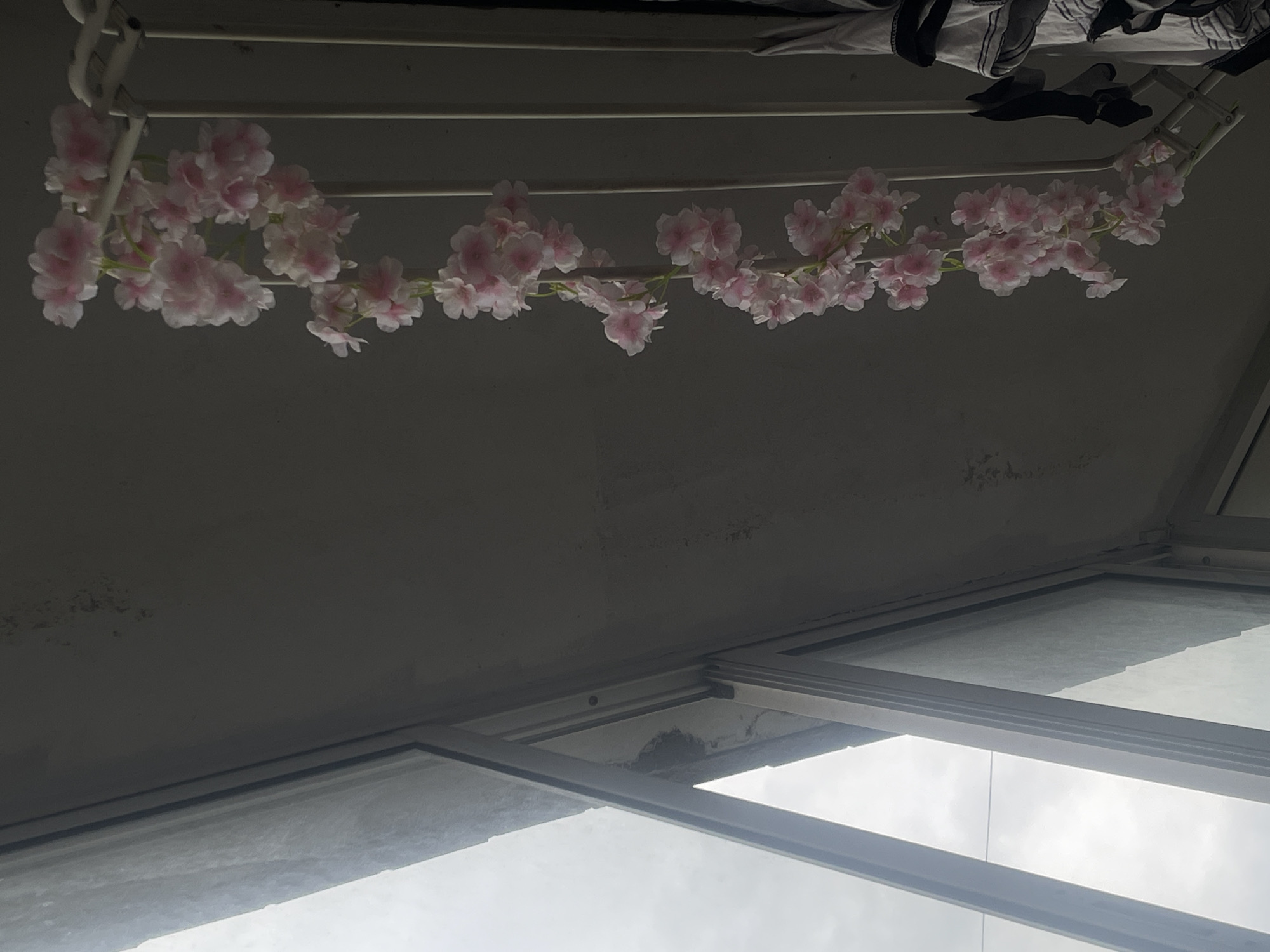 Russian resident documents home decorations featuring artificial blossoms, anime posters