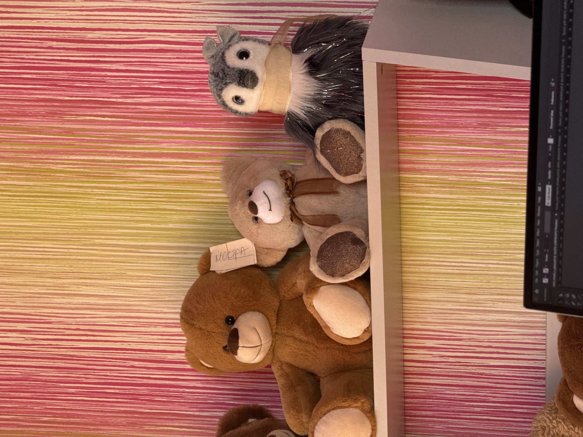 Stuffed toy displays documented in Bulgaria morning hours