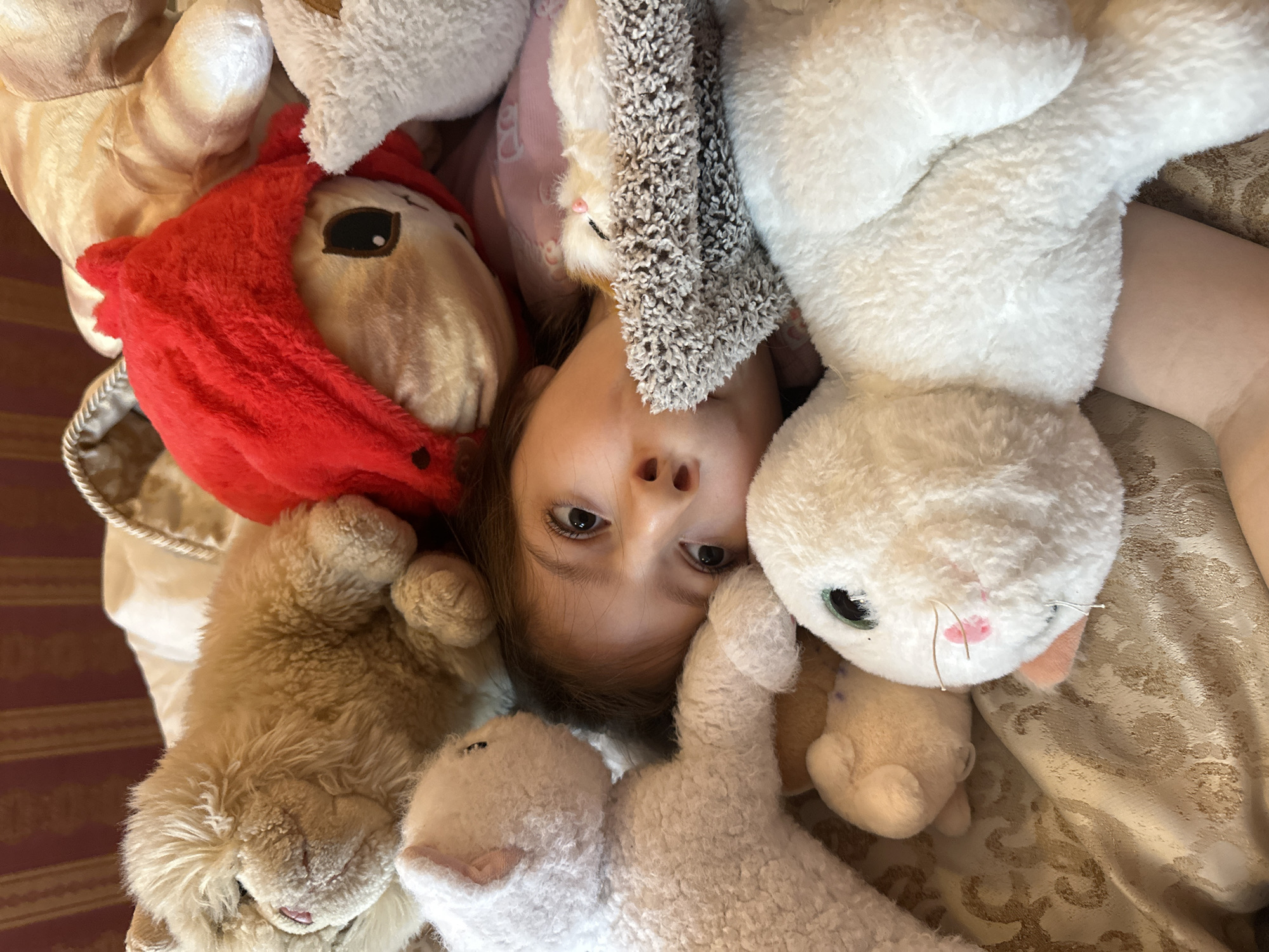 Girl plays with stuffed animals, woman makes sandwich in Esenyurt