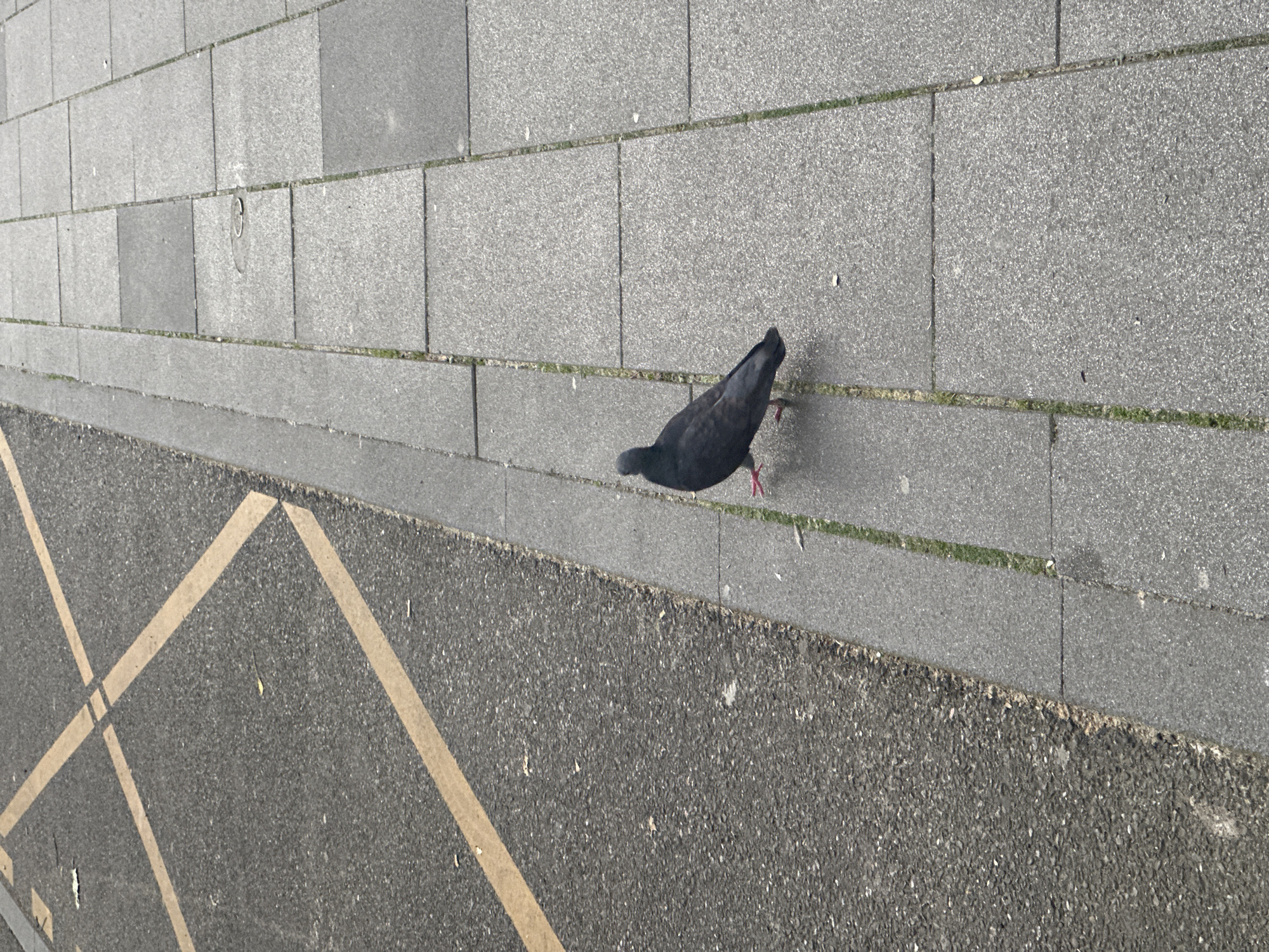 Early morning urban documentation across modern Strasbourg district