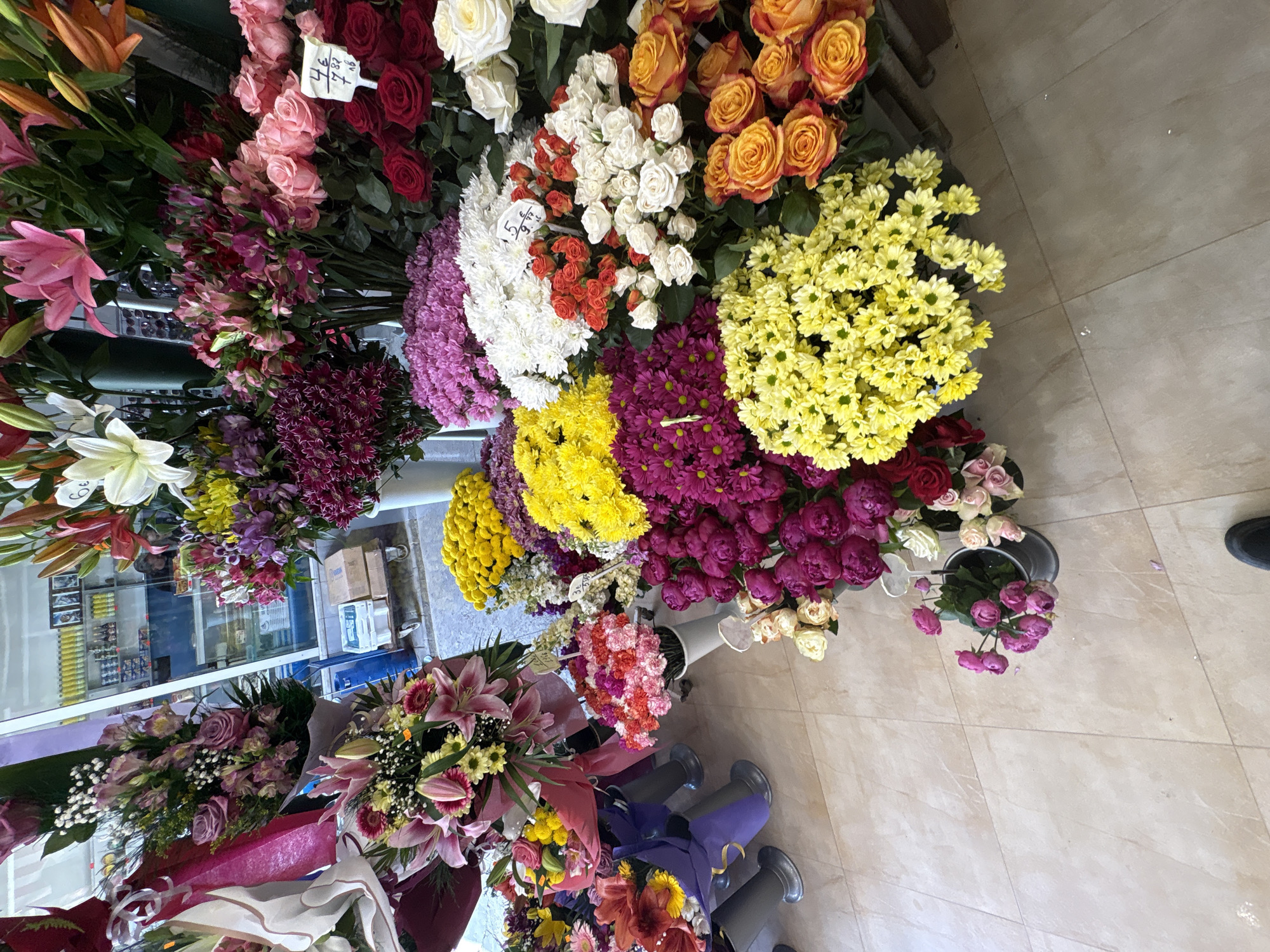 Sofia resident documents flower shop and forest path scenes