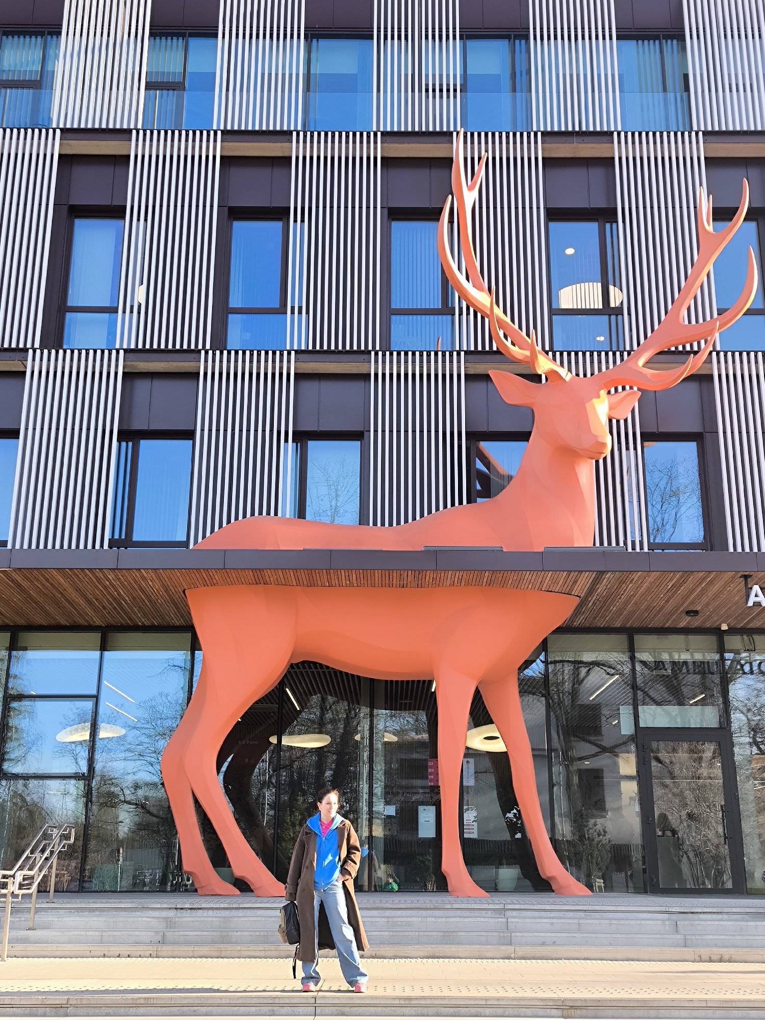 Woman photographed at children's hospital with colorful animal sculptures