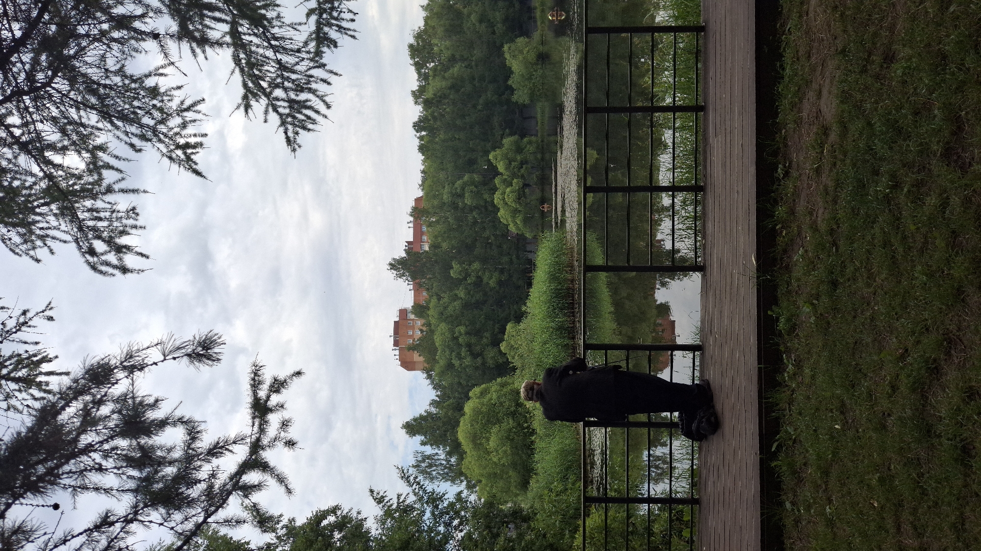 Lazy summer morning at a Saint Petersburg lakeside park