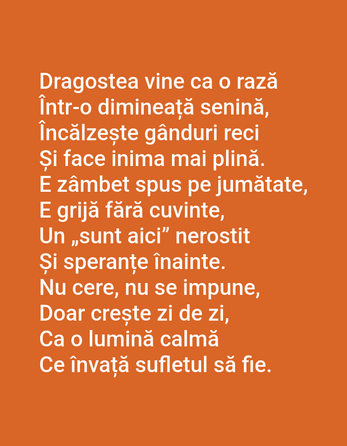 Romanian text graphics posted from a Czech town