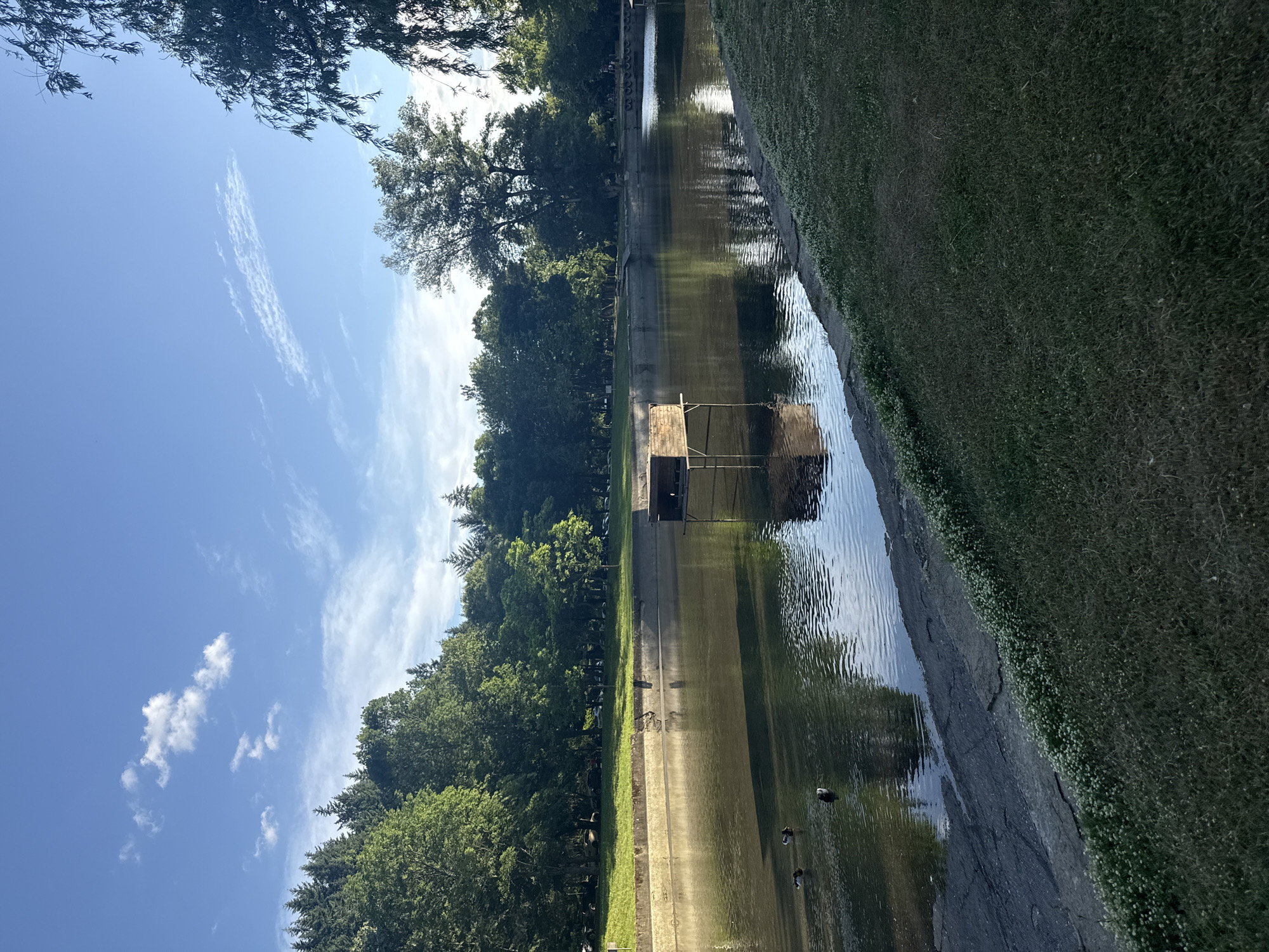 Woman visits park waterway with ducks in Blagoevgrad