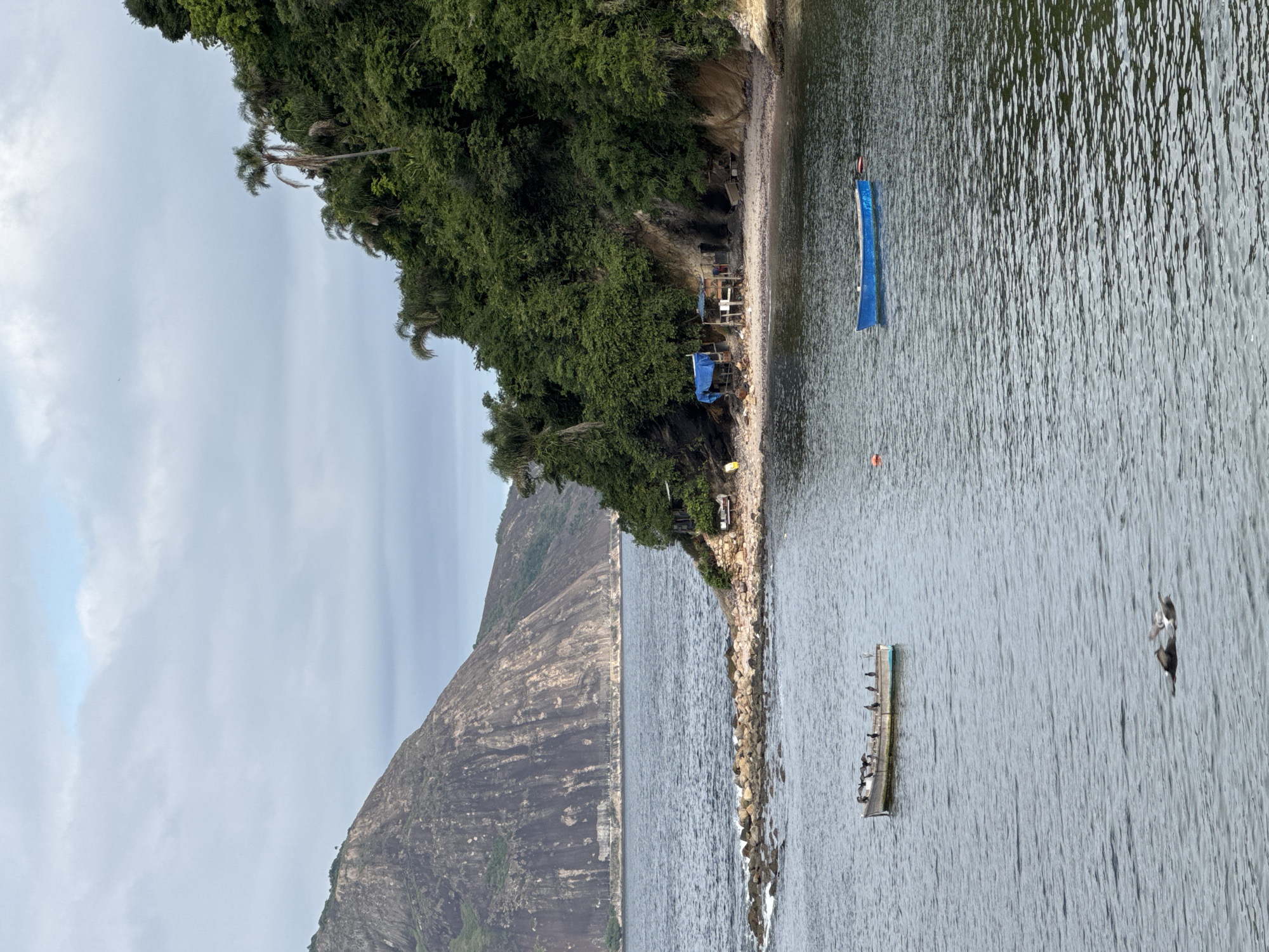 Calm but debris-strewn beach along Niterói's coastline
