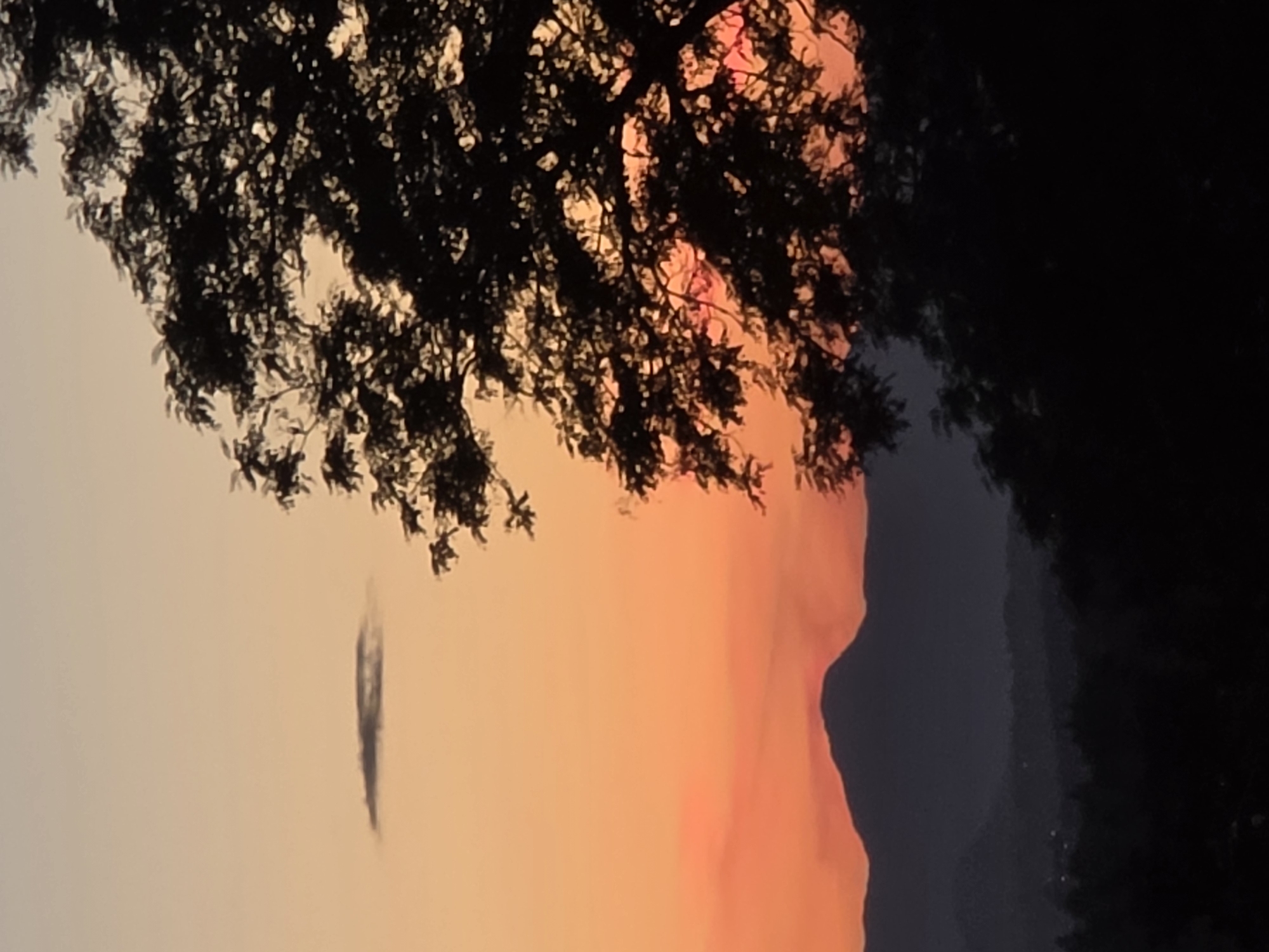 Winding down at sunset in a Vancouver field