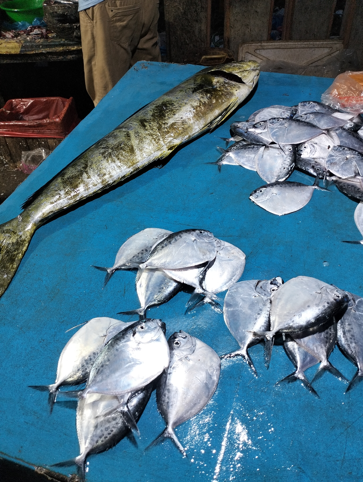 Fresh catch displayed at Lhokseumawe fish market Friday morning