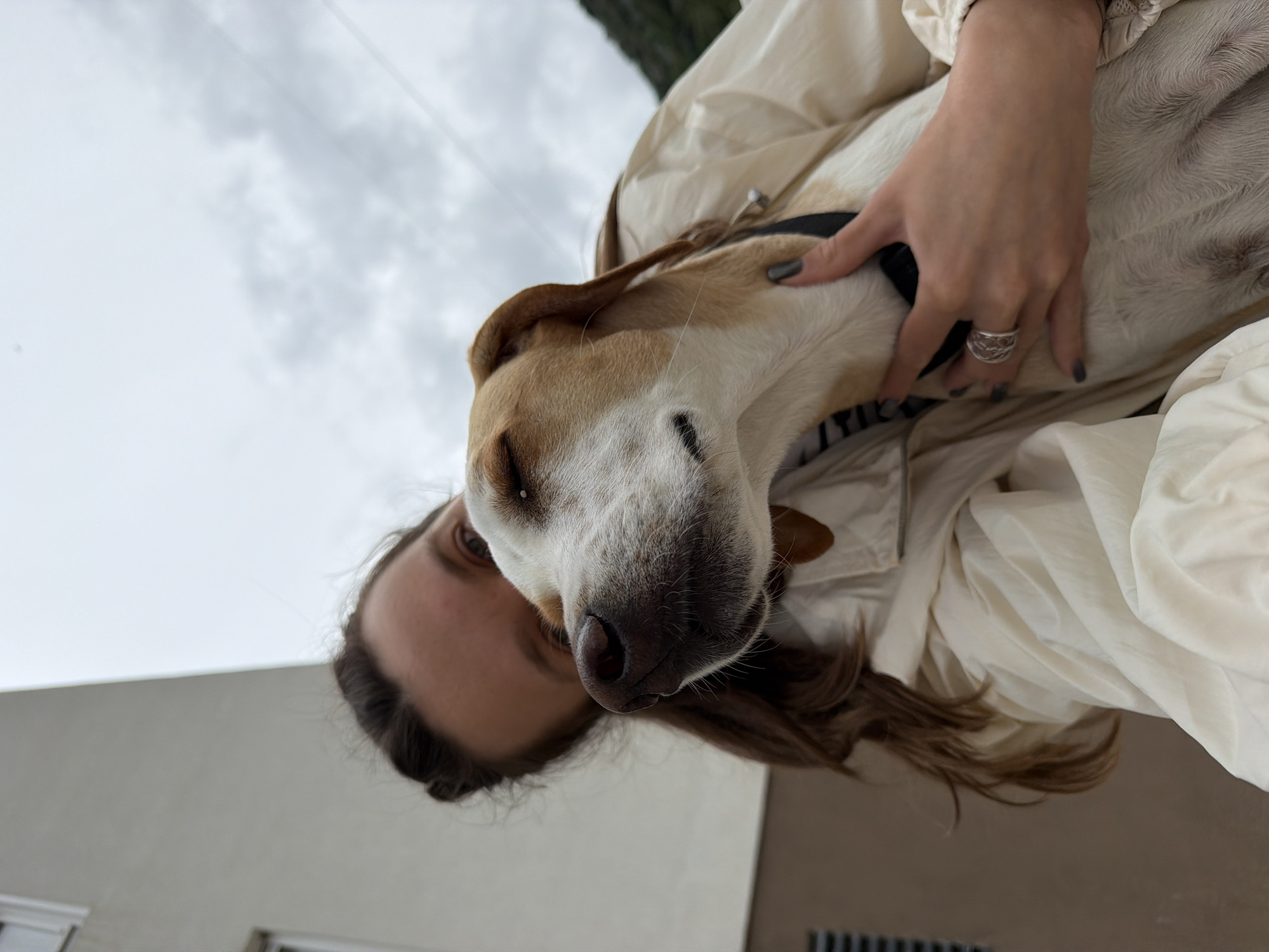 Woman with dog, schoolchildren boarding bus captured in Budva