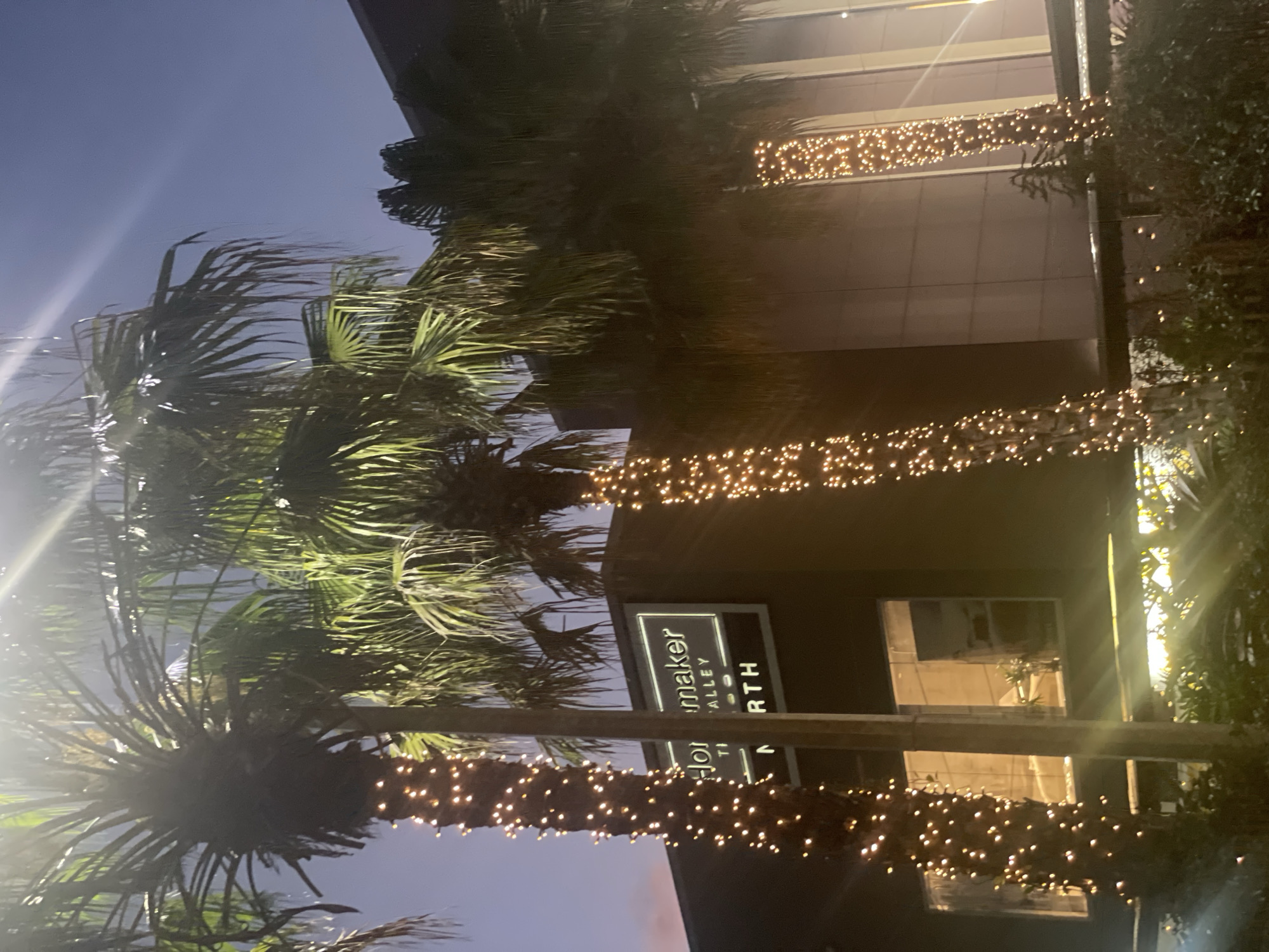 String-lit palm trees outside Homemaker The Valley North, Brisbane