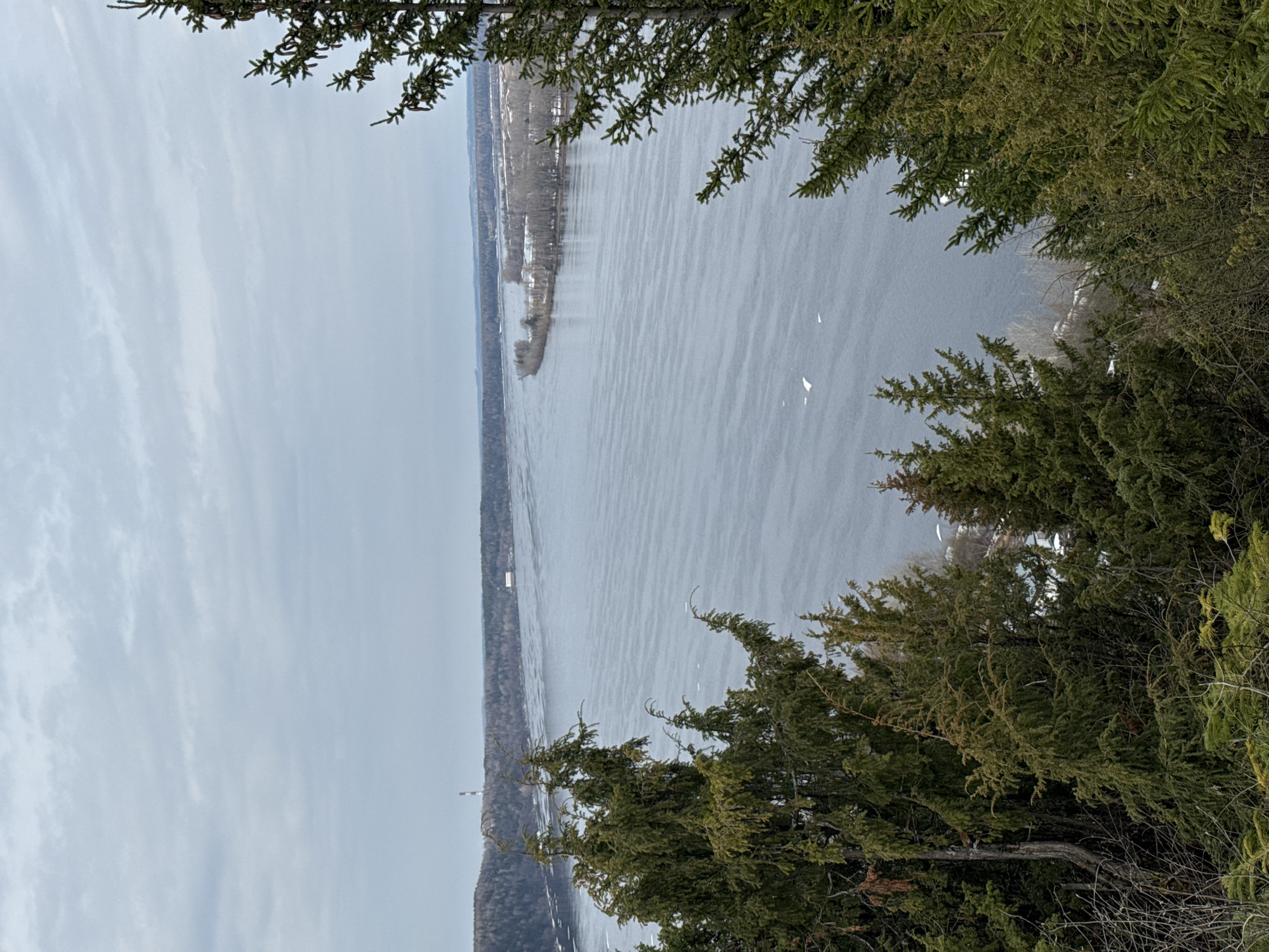 Elevated view captures water body with snow patches, evergreens