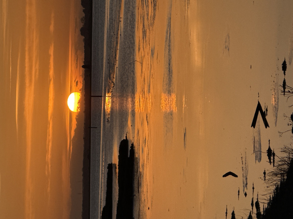 Sunset documented over Great Yarmouth waters with spring wildlife