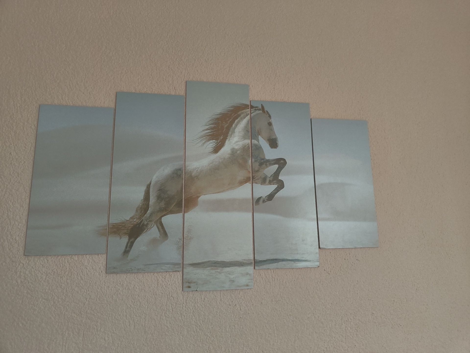 Morning household interiors documented in Nova Zagora, Bulgaria