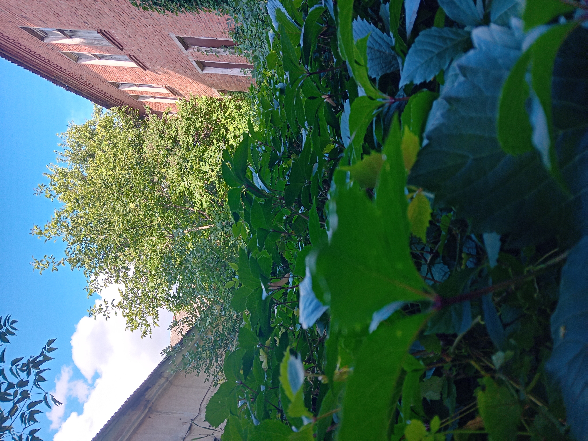 Quiet streets and old brick in Chuhuiv on a summer afternoon