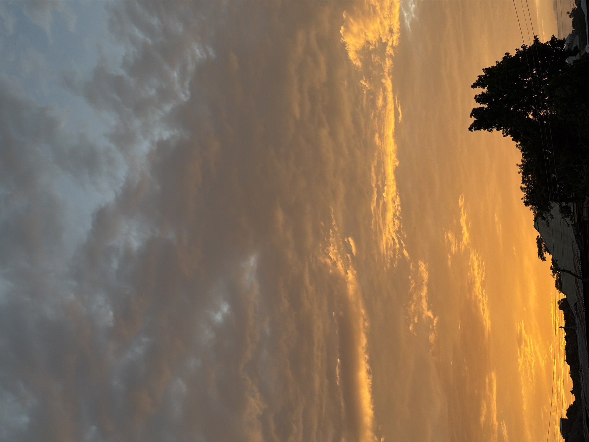 A Jos evening: vivid skies, street life, and animals at home