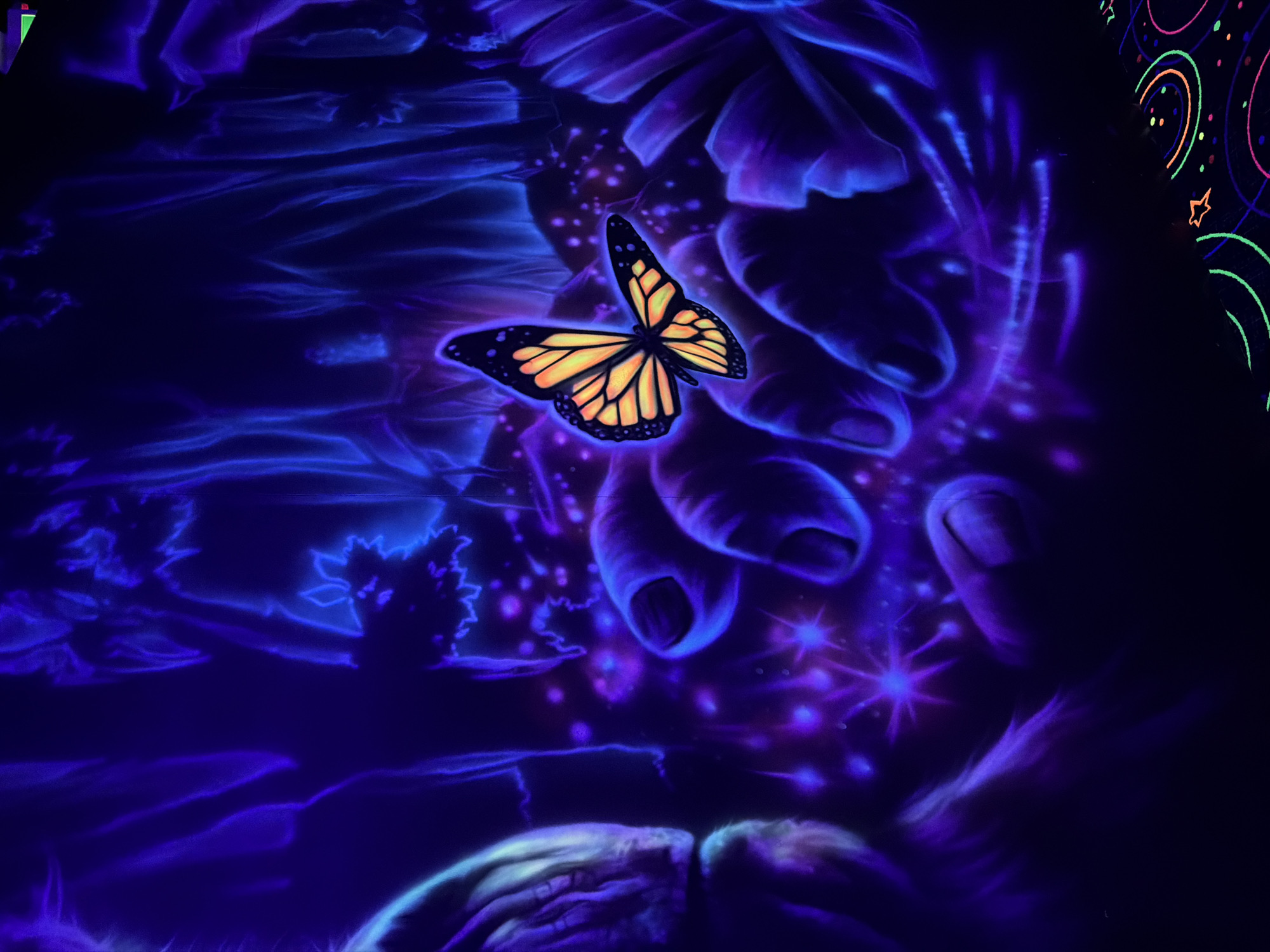 Blacklight miniature golf murals documented in London, Canada