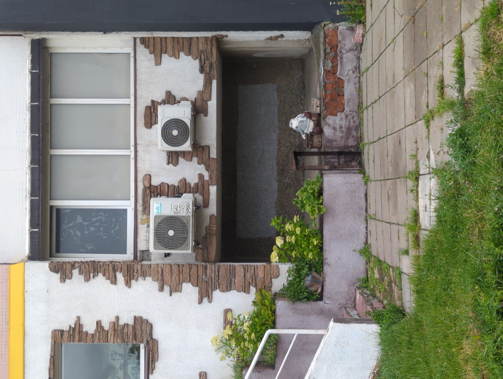 Street-level details in Minsk: a hidden doll and a sunflower bud