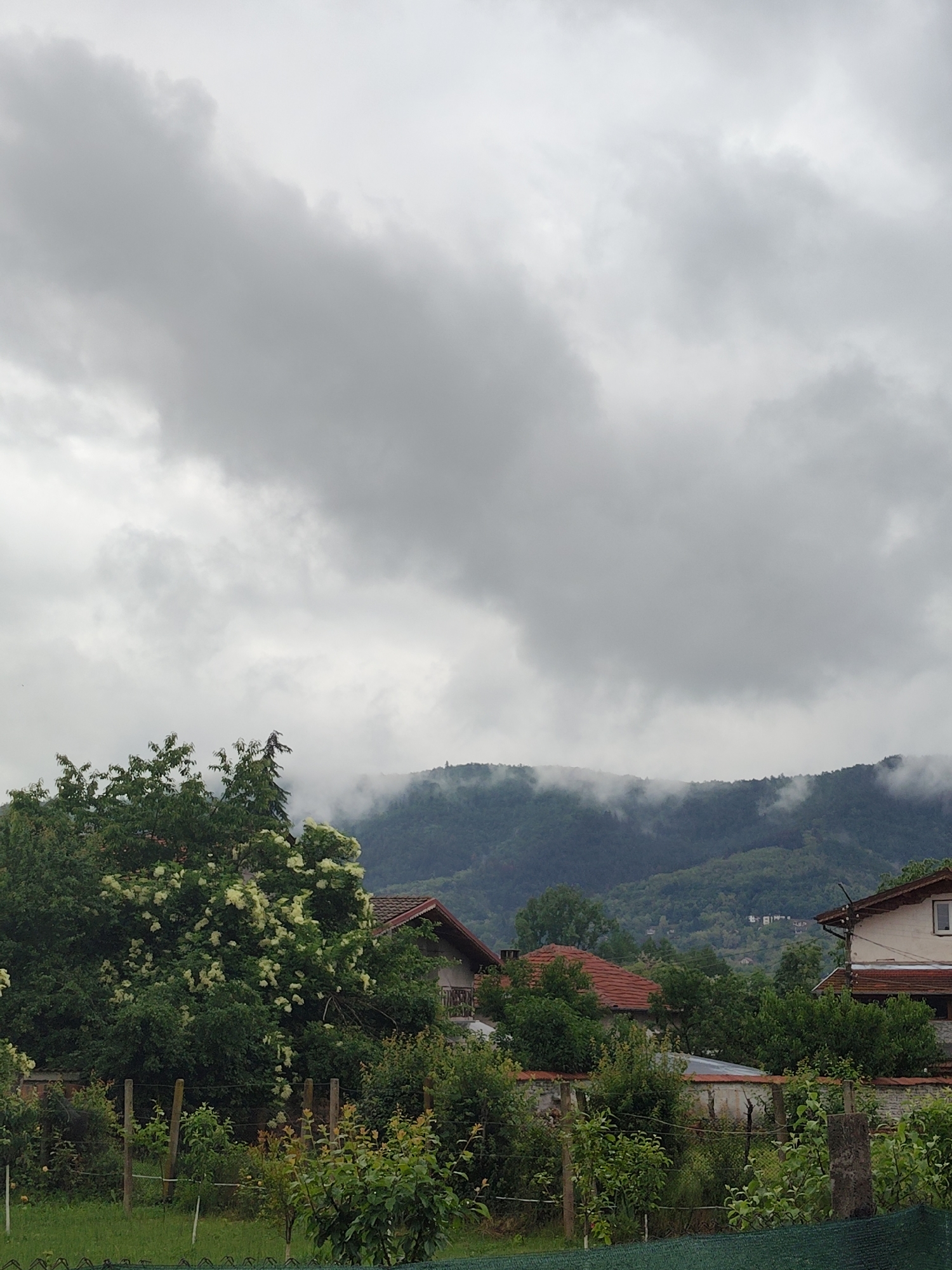 Misty morning moments captured in rural Trudovets, Bulgaria