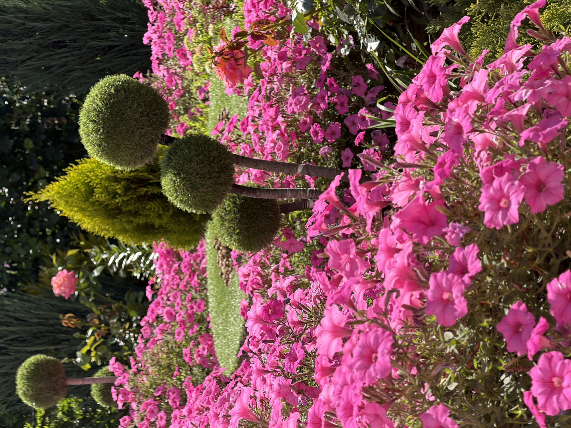 Colorful garden details: flowers, succulents, and rock waterfalls