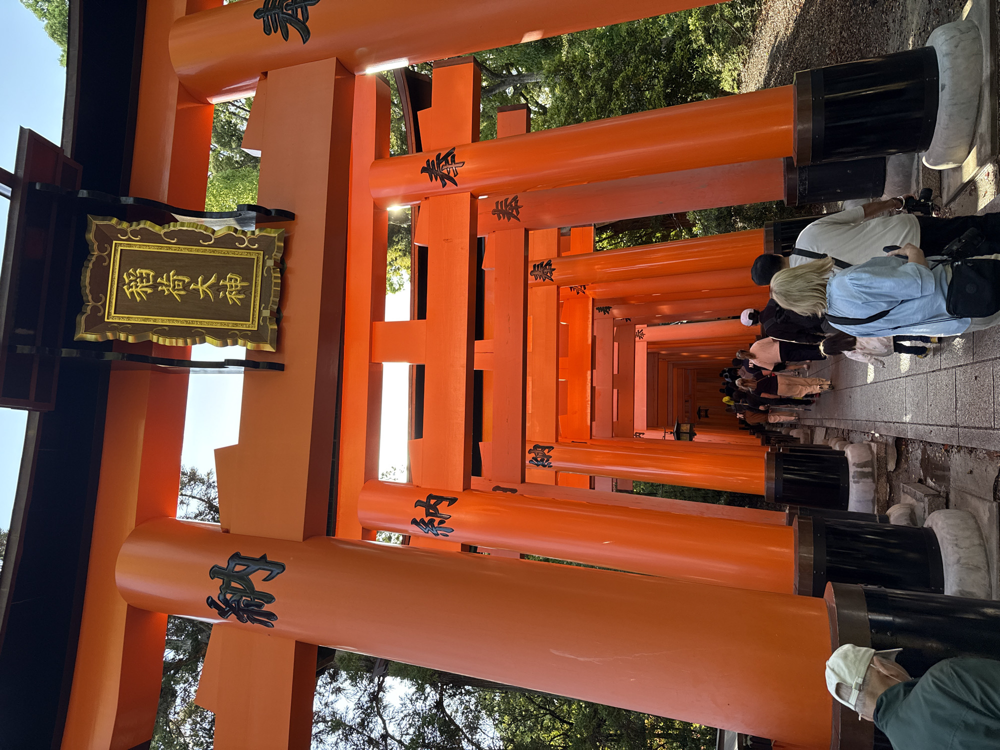 Evening visit captured at Kyoto's Fushimi Inari shrine torii tunnels