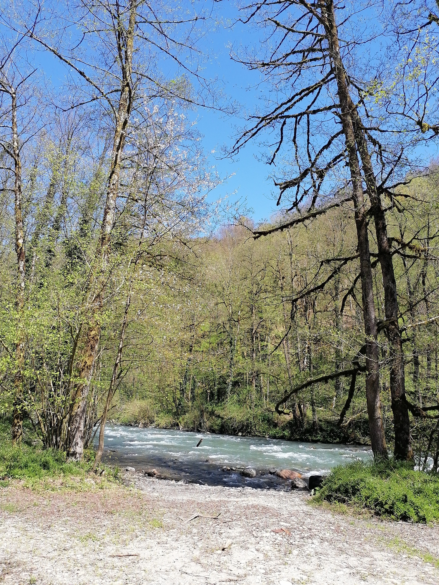 Spring river landscape documented in Chvizhepse, Russia
