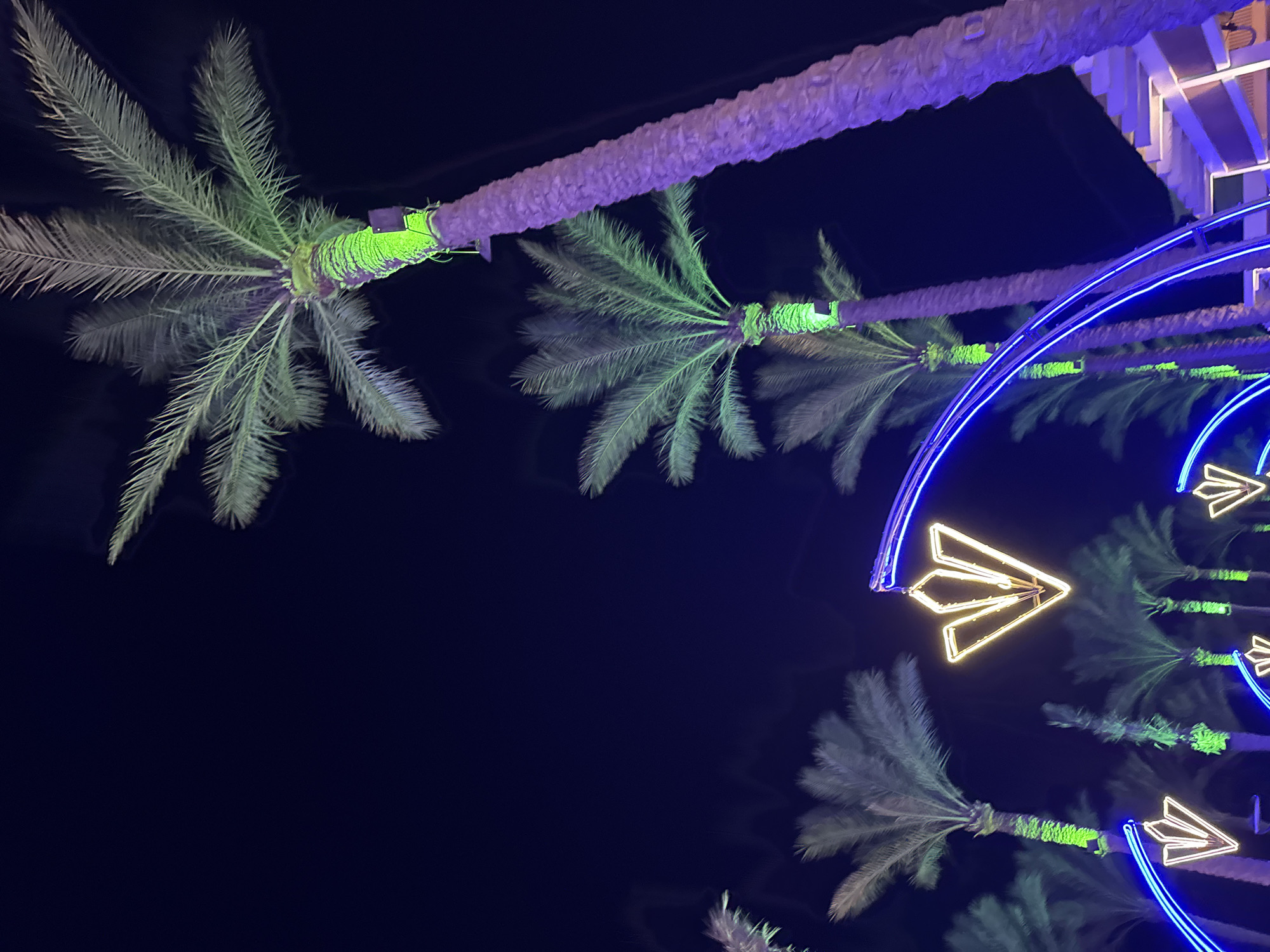 Night out at Salt Seafood lounge, Egypt's neon-lit Red Sea coast