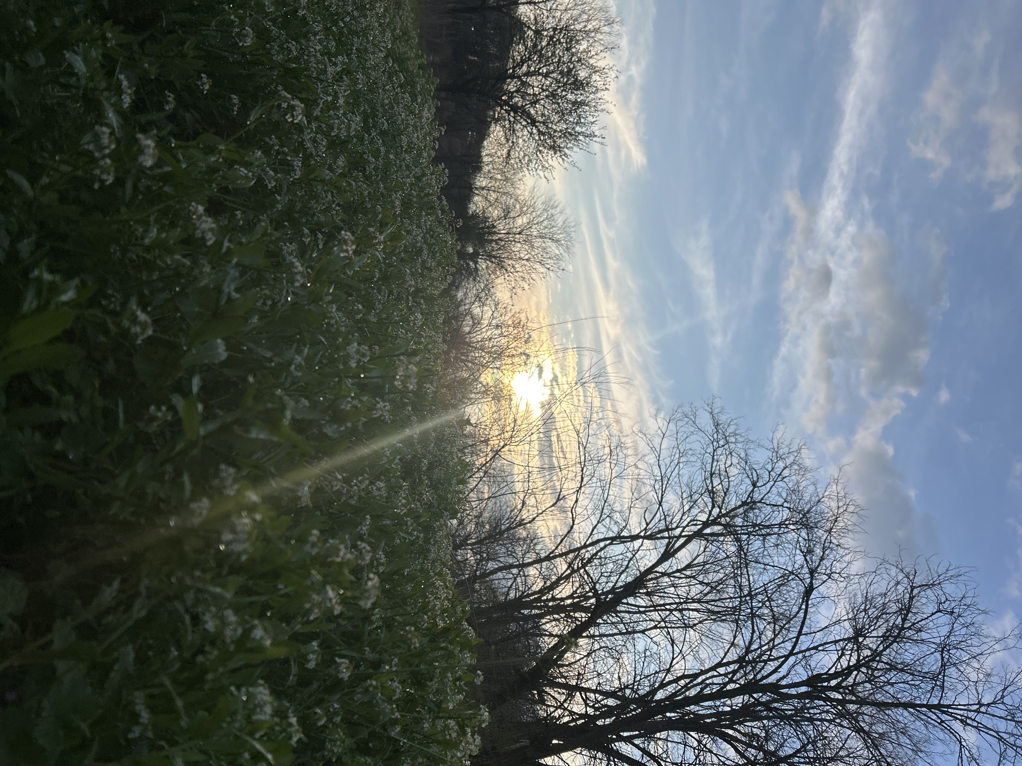 Spring moments captured in Dimitrovgrad: flowers, twilight, outdoor fitness