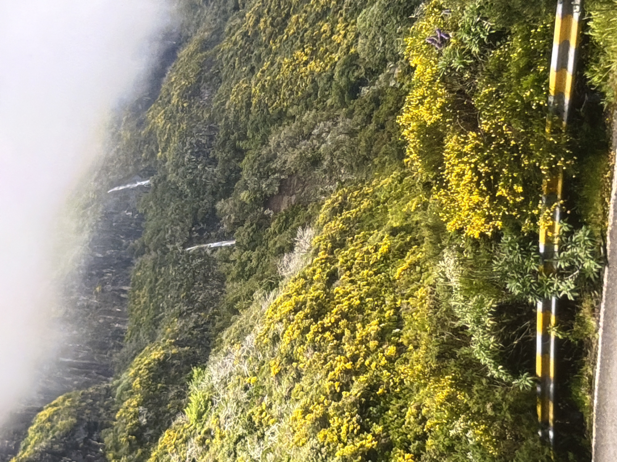 Winding through misty mountain roads with waterfalls and wildflowers