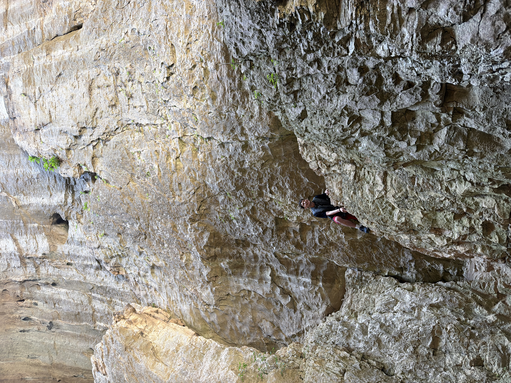 Rock climber scales walls in Bulgaria's Prohodna Cave