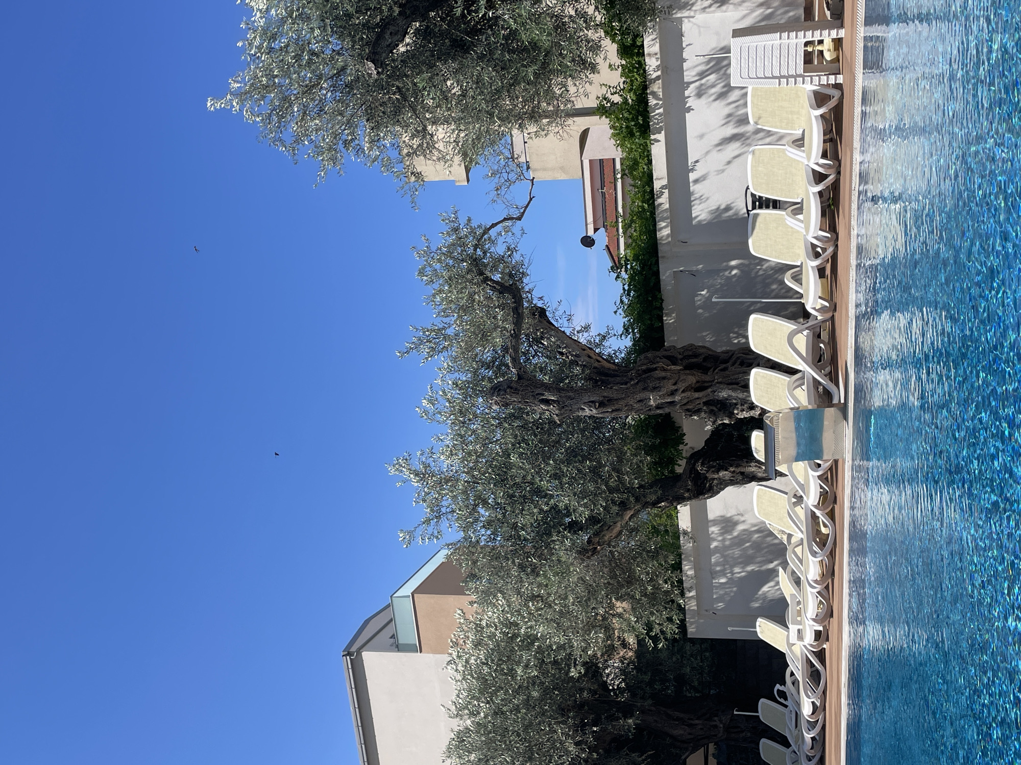 Morning scenes from Bar Montenegro captured by lone witness