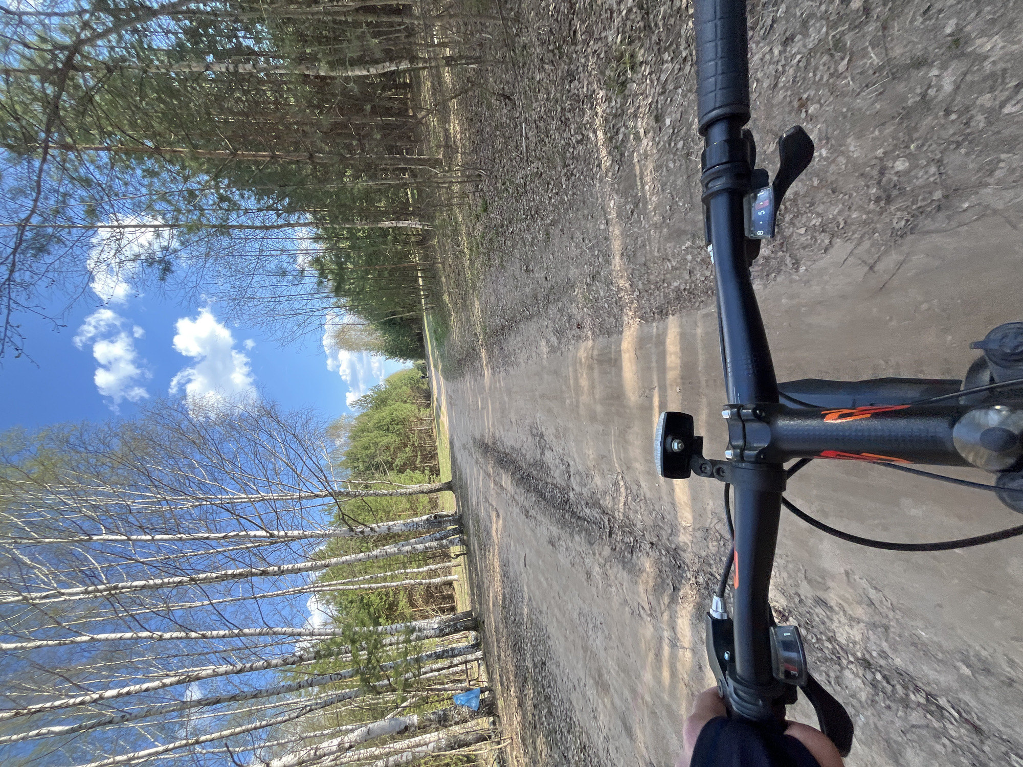 Cyclist takes forest selfie during sunny ride in Chaikovsky