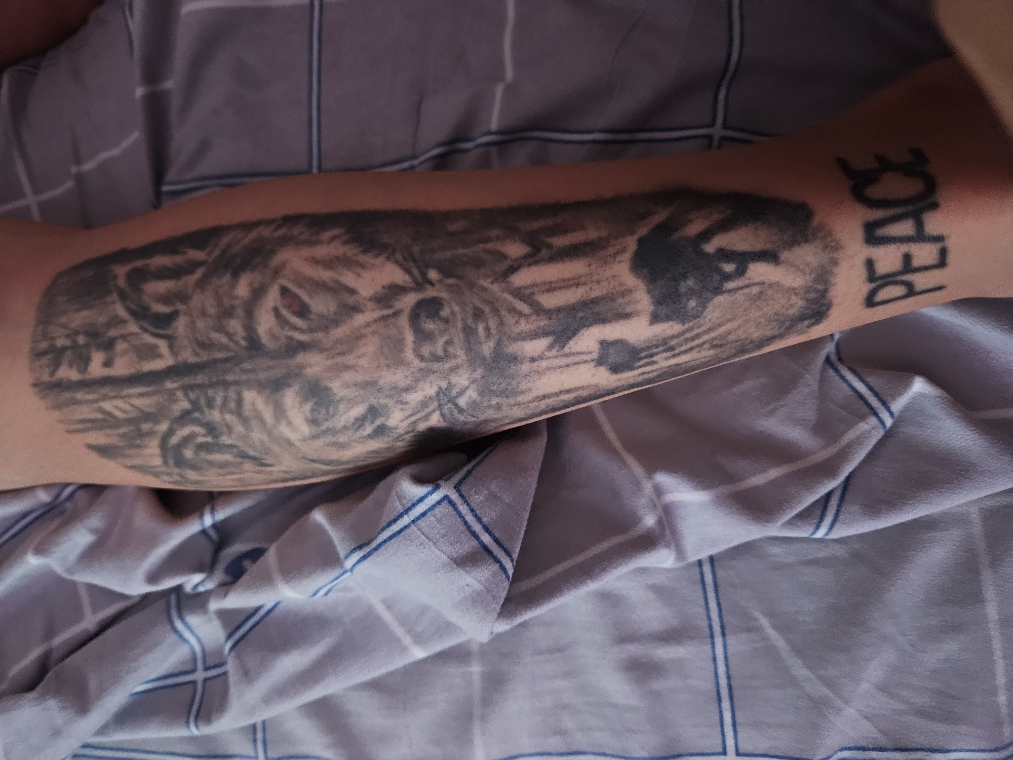 Wolf, forest, and gothic cross tattoos in Veliko Tarnovo
