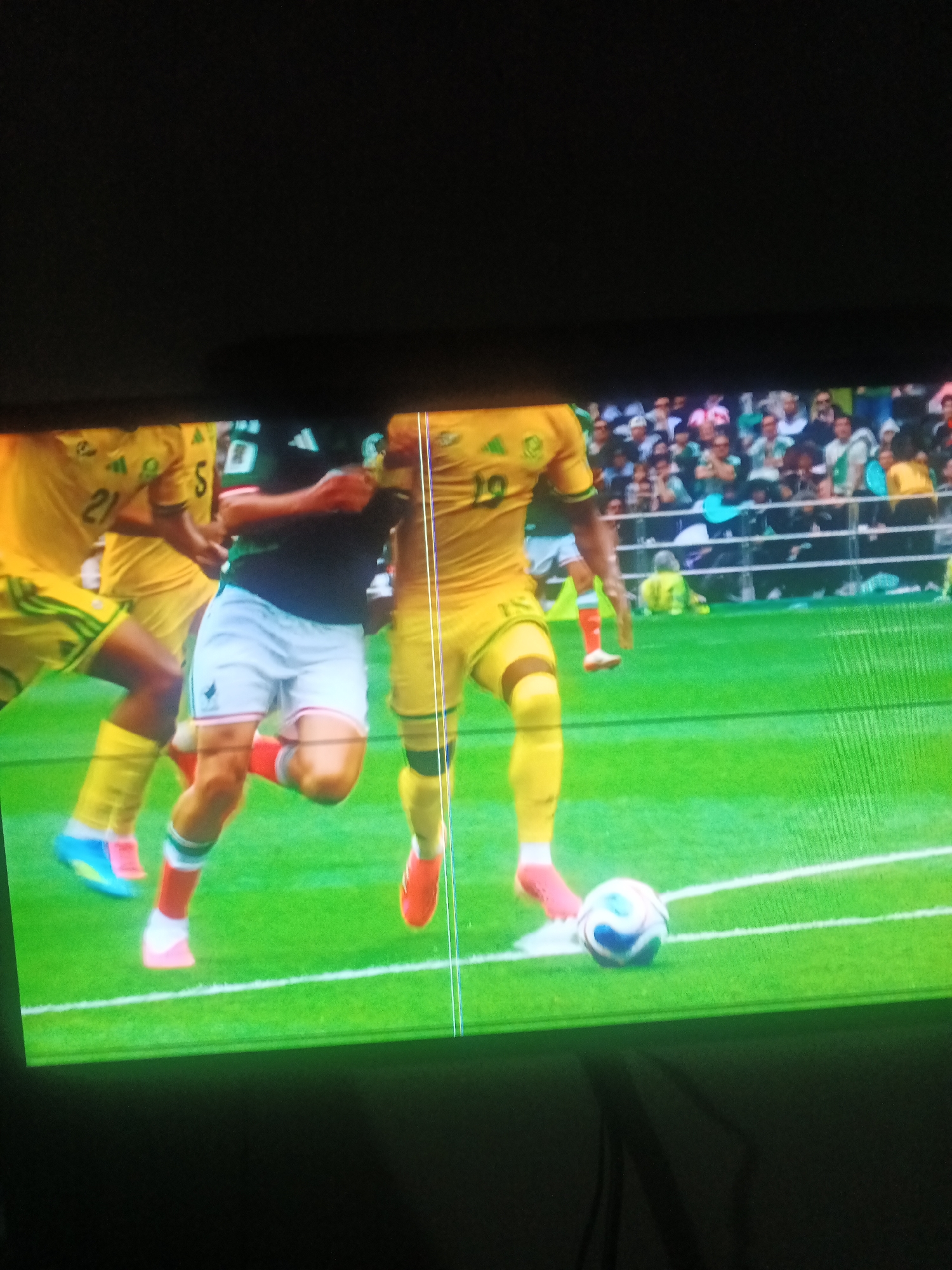 Soccer fan watches Mexico beat South Africa 2-0 on TV