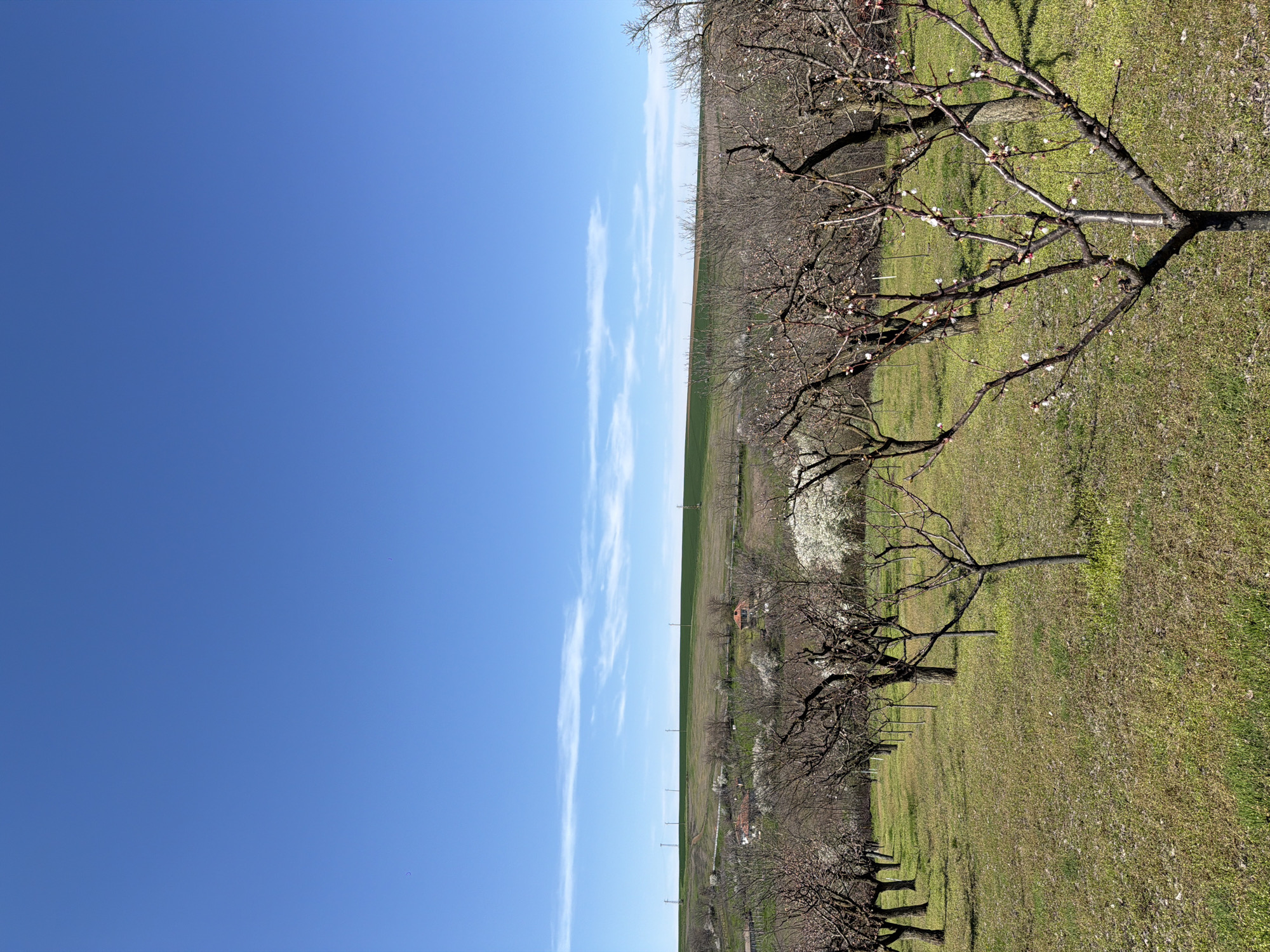 Agricultural landscape documented in Profesor Ishirkovo, Bulgaria